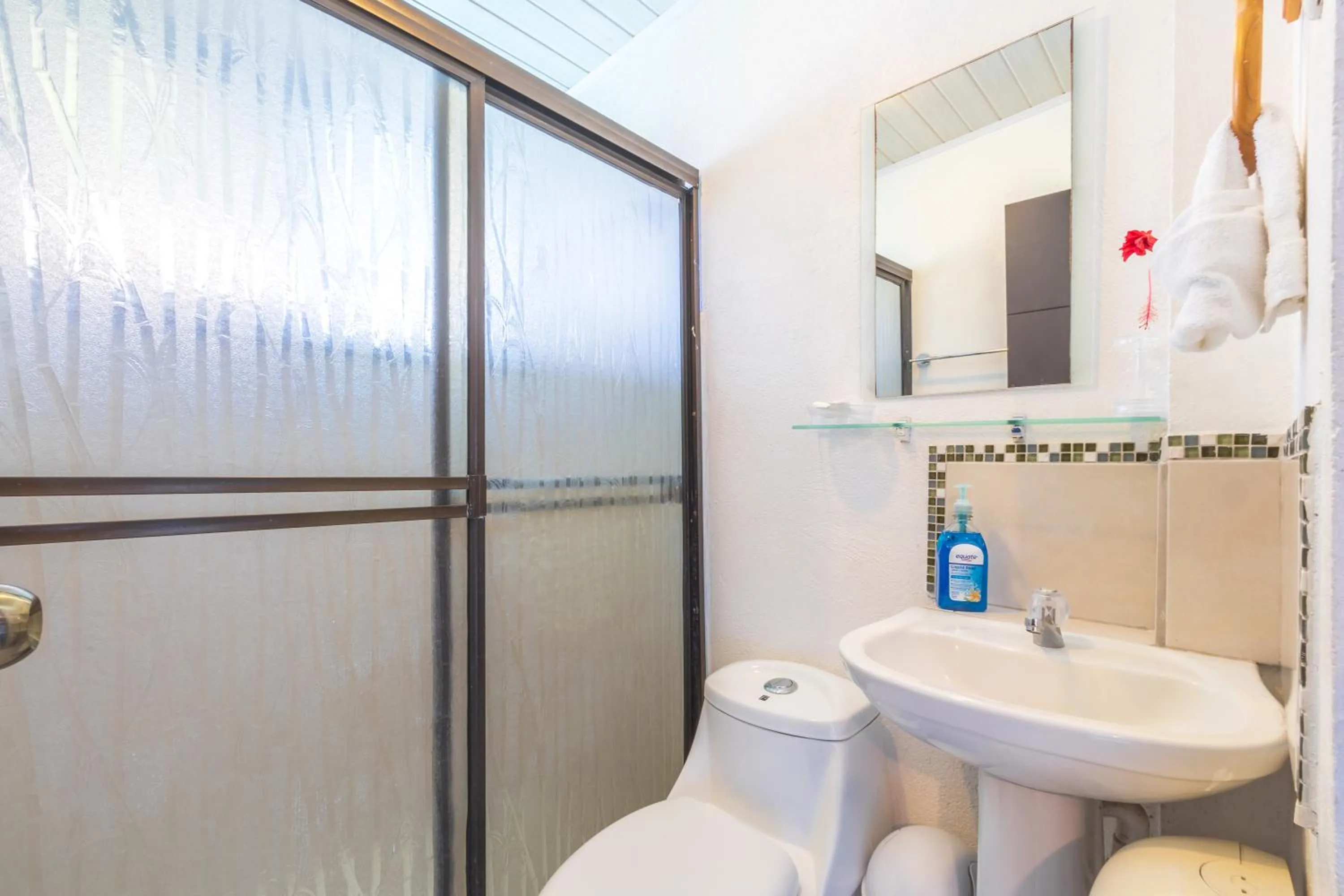 Shower in Hotel Villas de la Selva