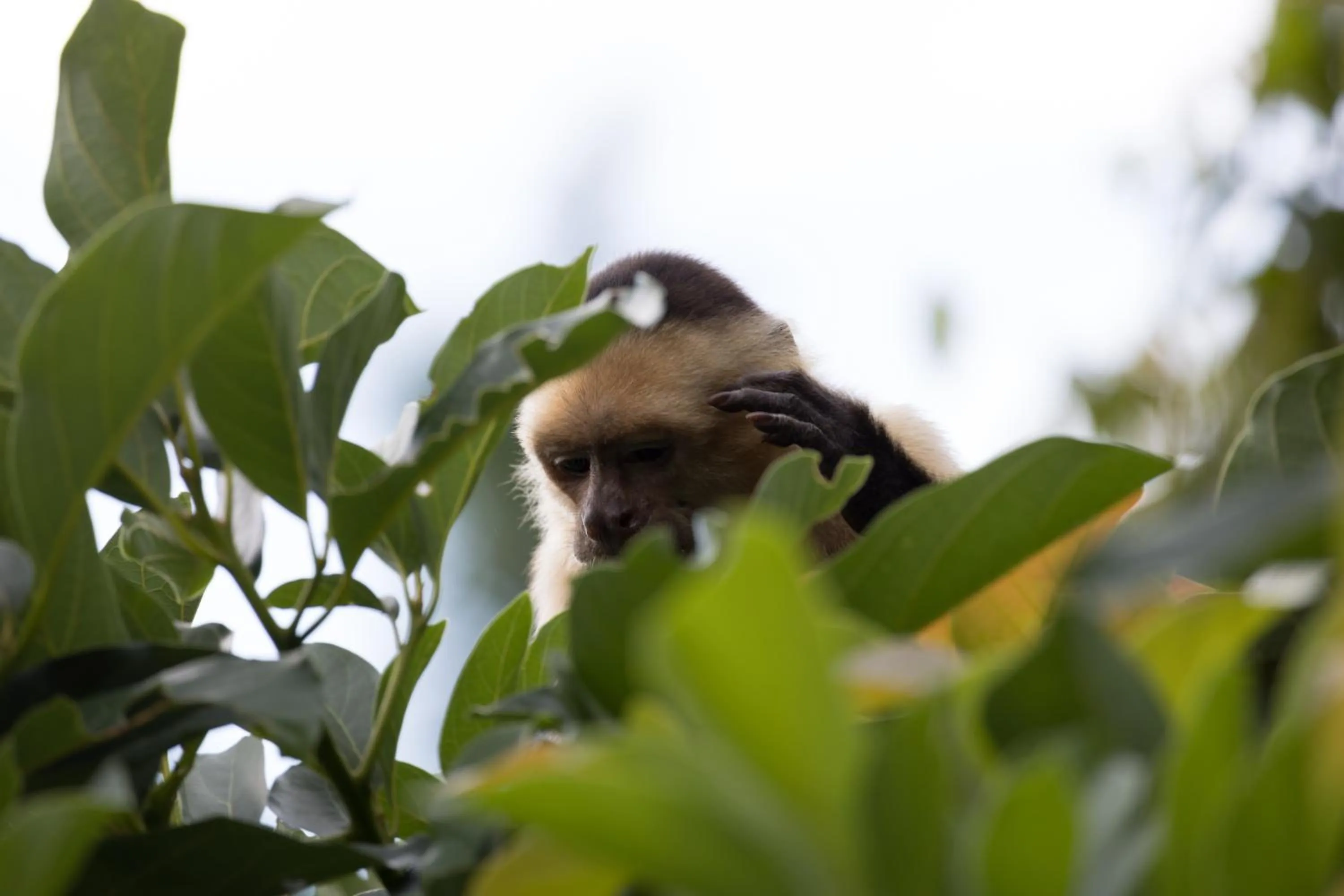 Day in Hotel Villas de la Selva