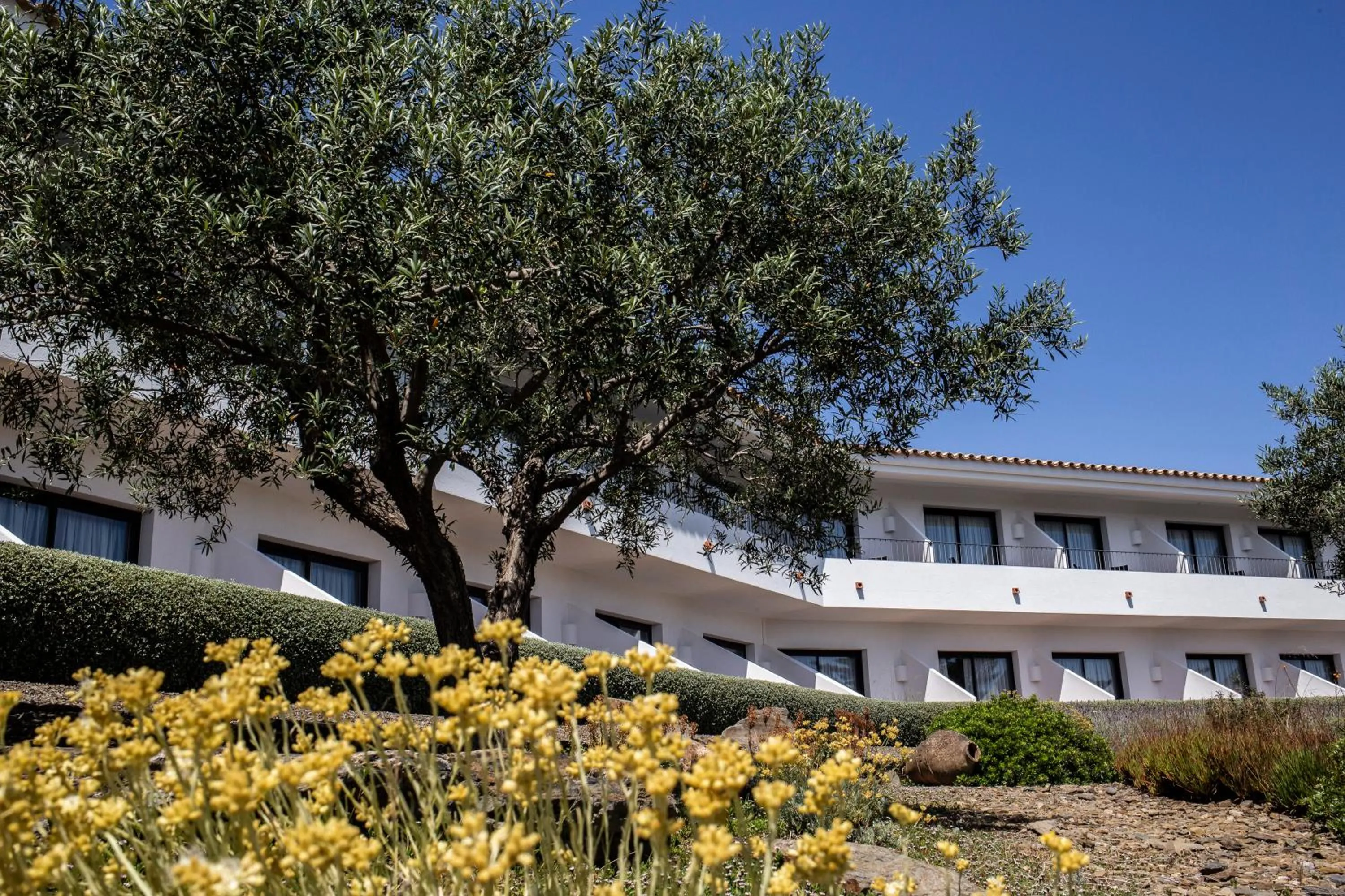 Hotel Sol Ixent - Adults Only