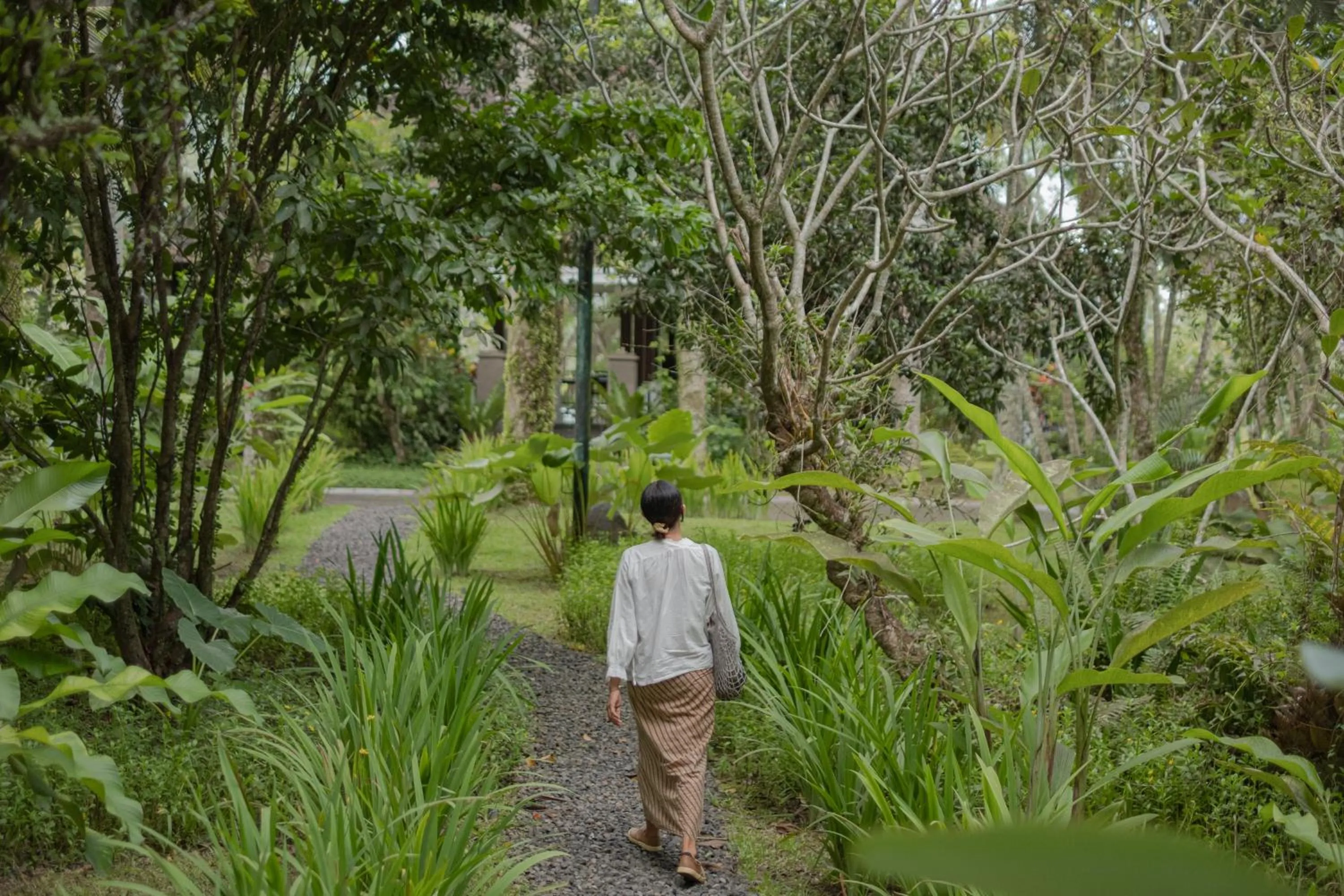 Garden view in Bumi Kinar Heritage