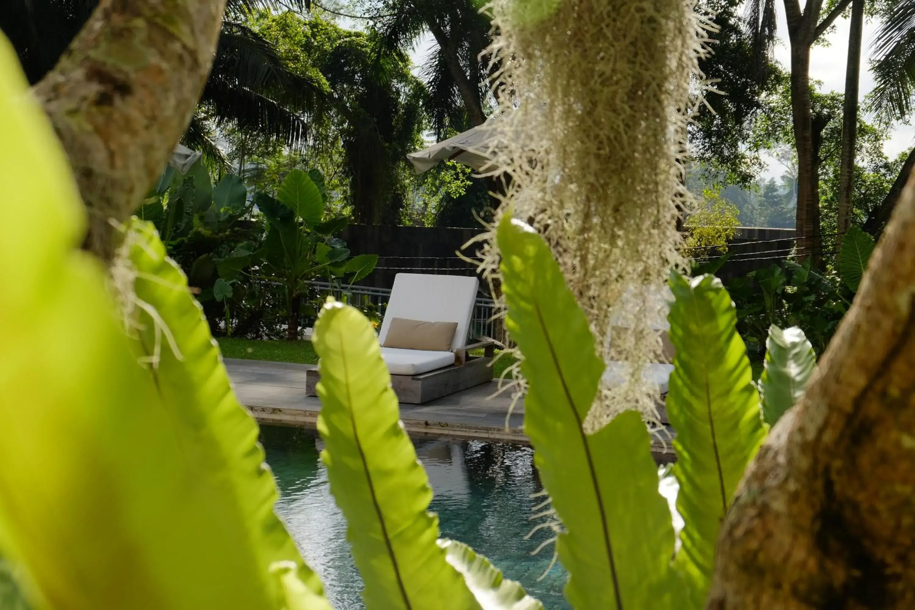 Swimming pool in Bumi Kinar Heritage Swimming pool in Bumi Kinar Heritage