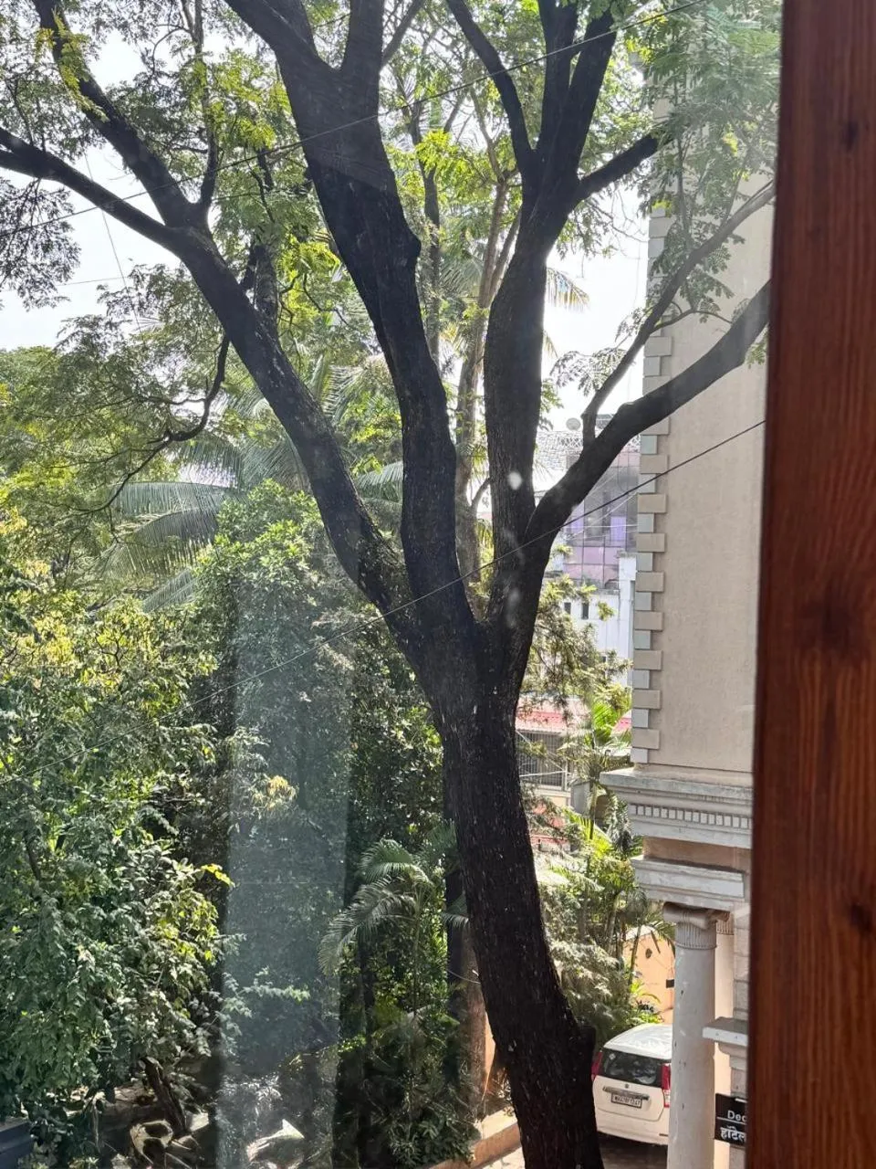 Other in Hotel Ketan