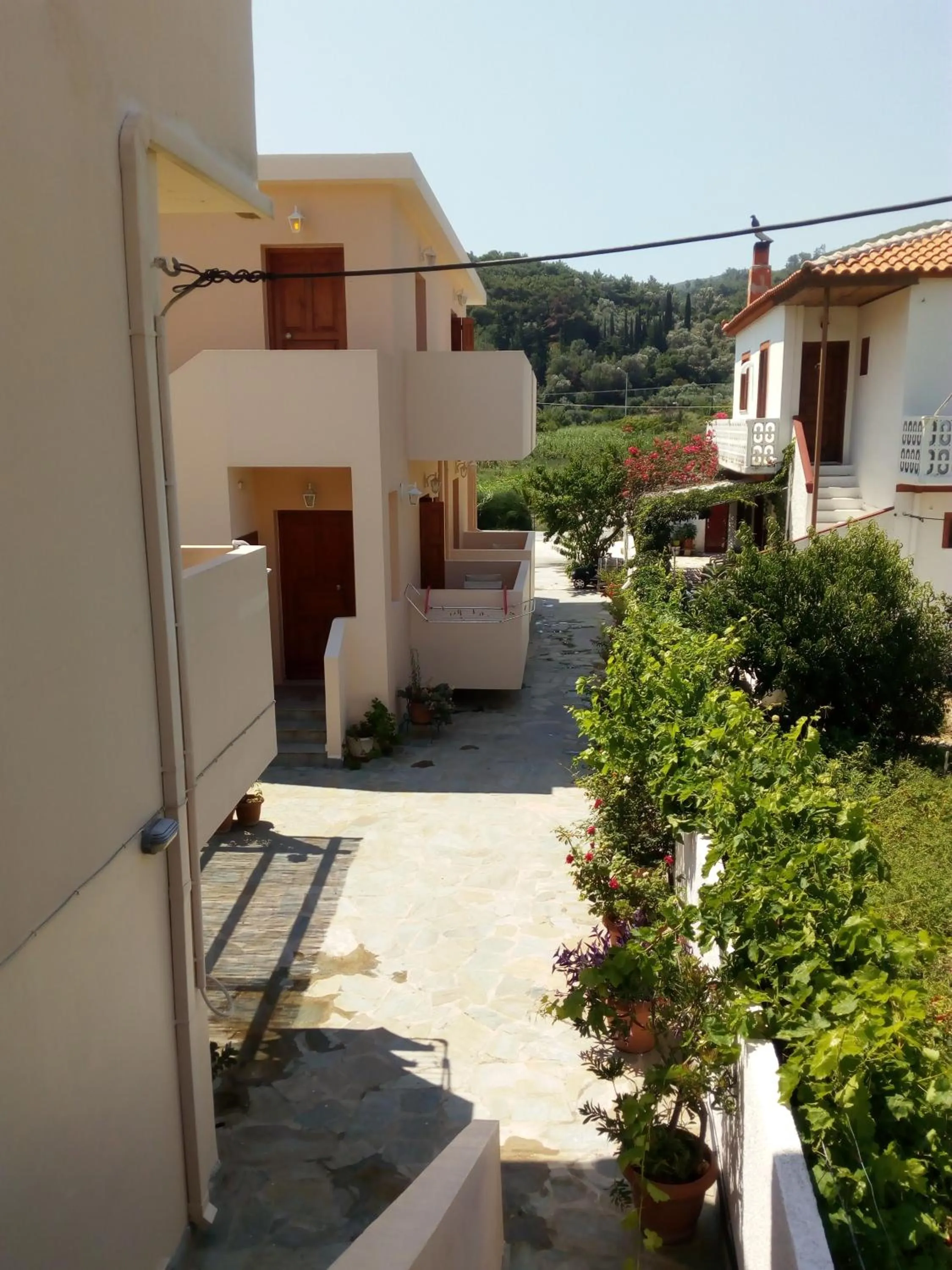 Bird's eye view in Tarsanas Beach