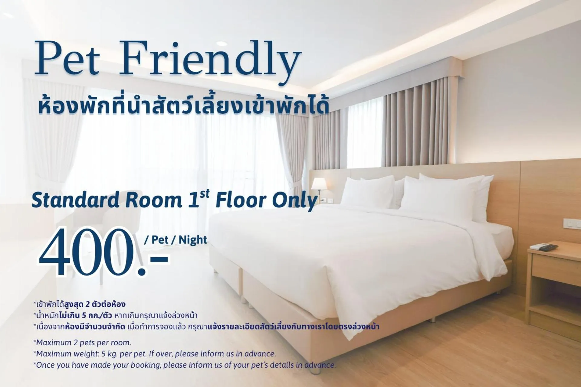 Pets, Bed in The Kite Hotel Bangsaen by Koko