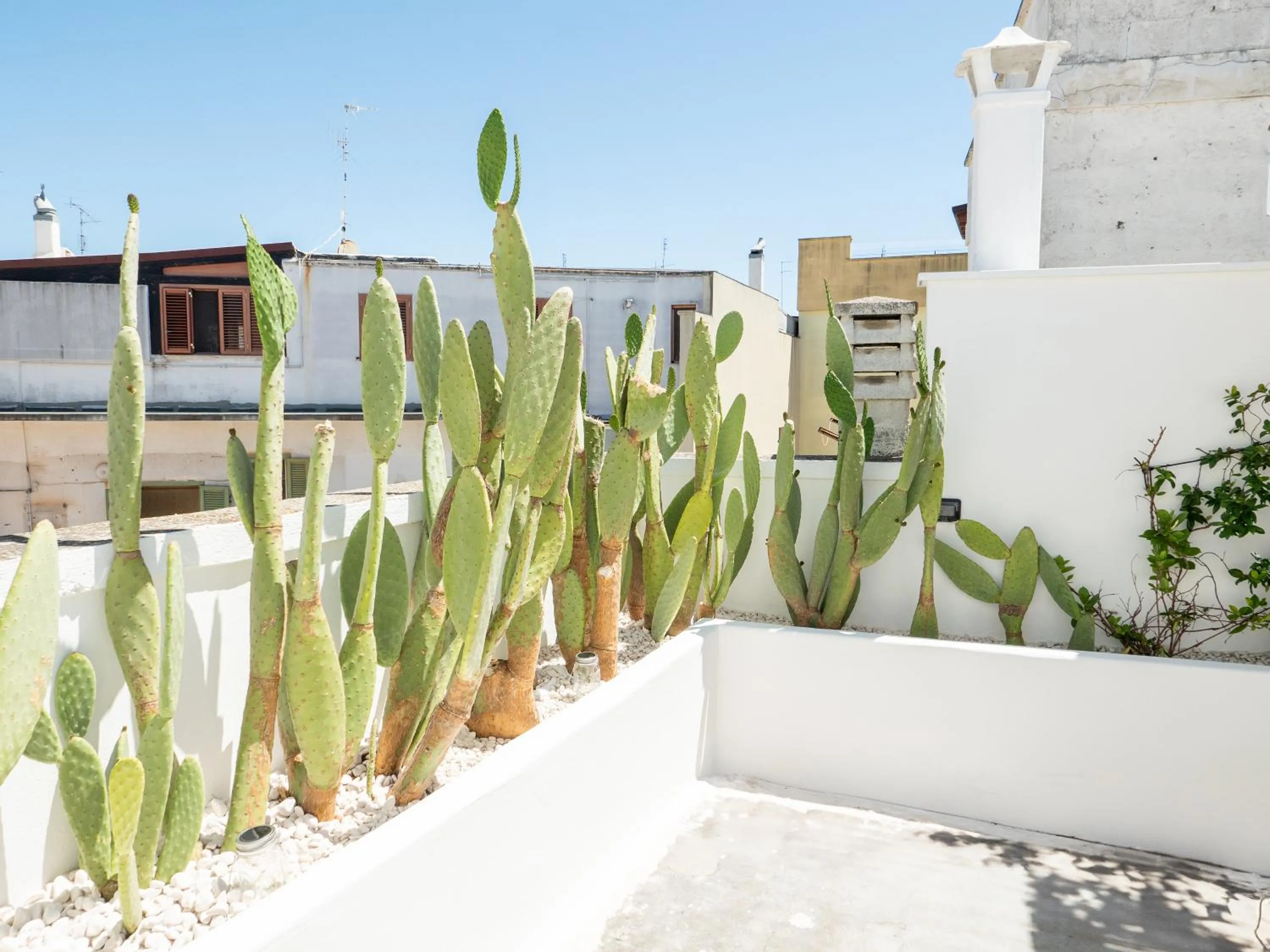 Superior Apartment with City View in Dimora Storica Palazzo Didonna