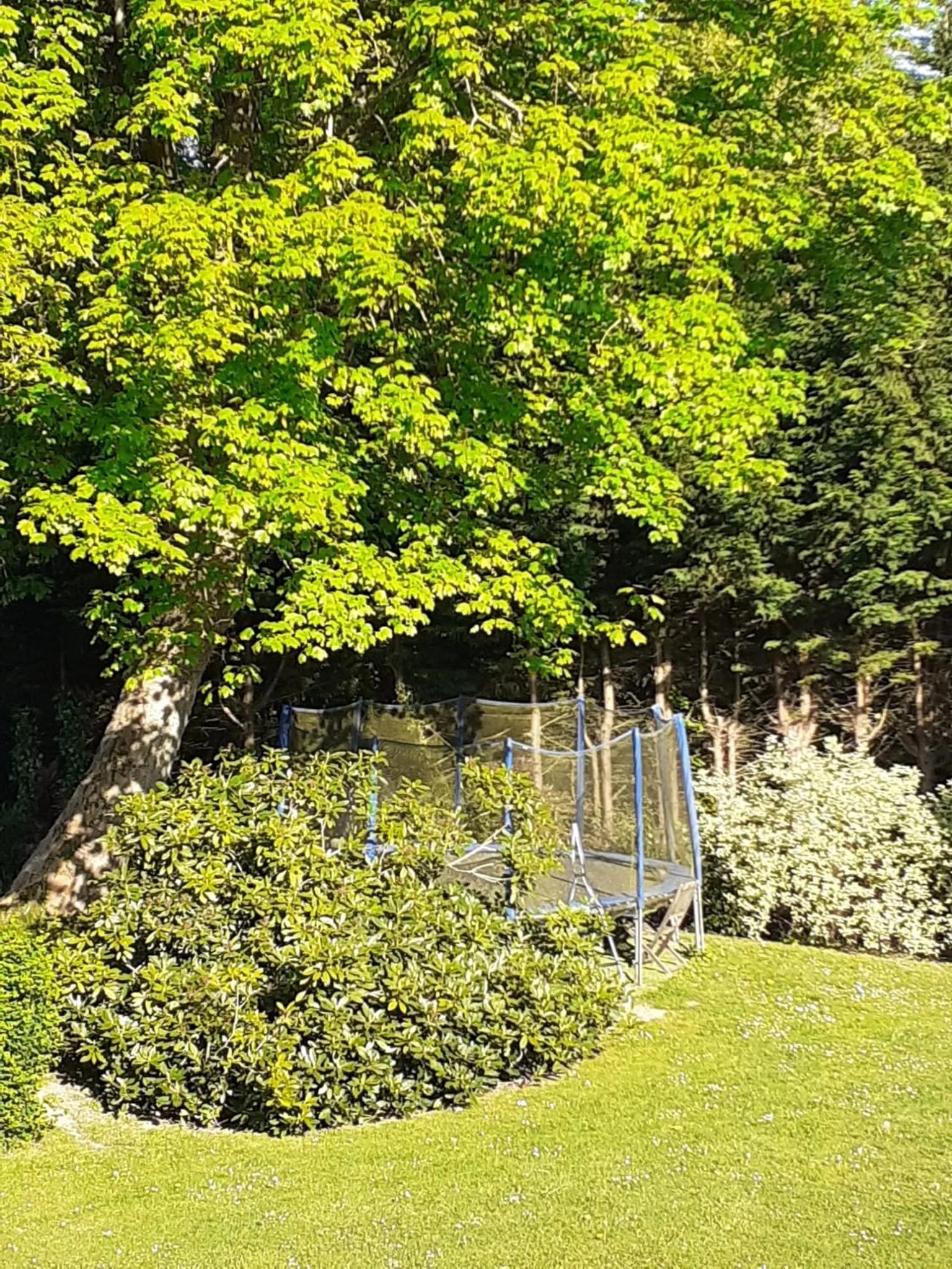 Natural landscape in Manoir de l'As de Trèfle