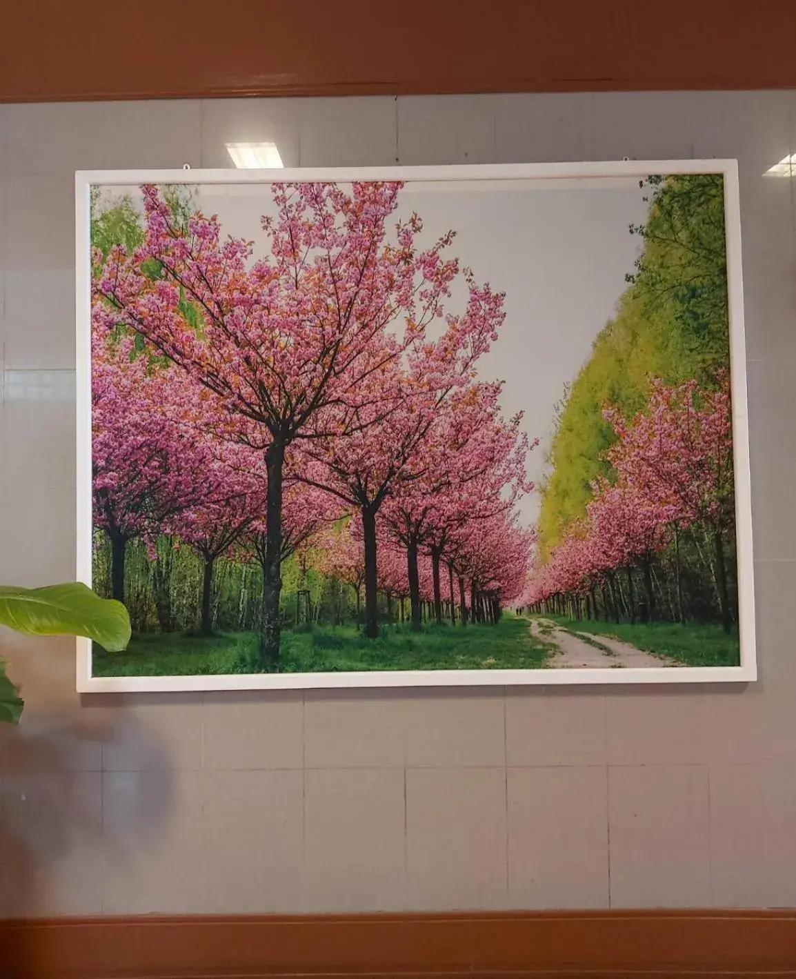 Property building in Suriwong Chumphon Hotel Property building in Suriwong Chumphon Hotel