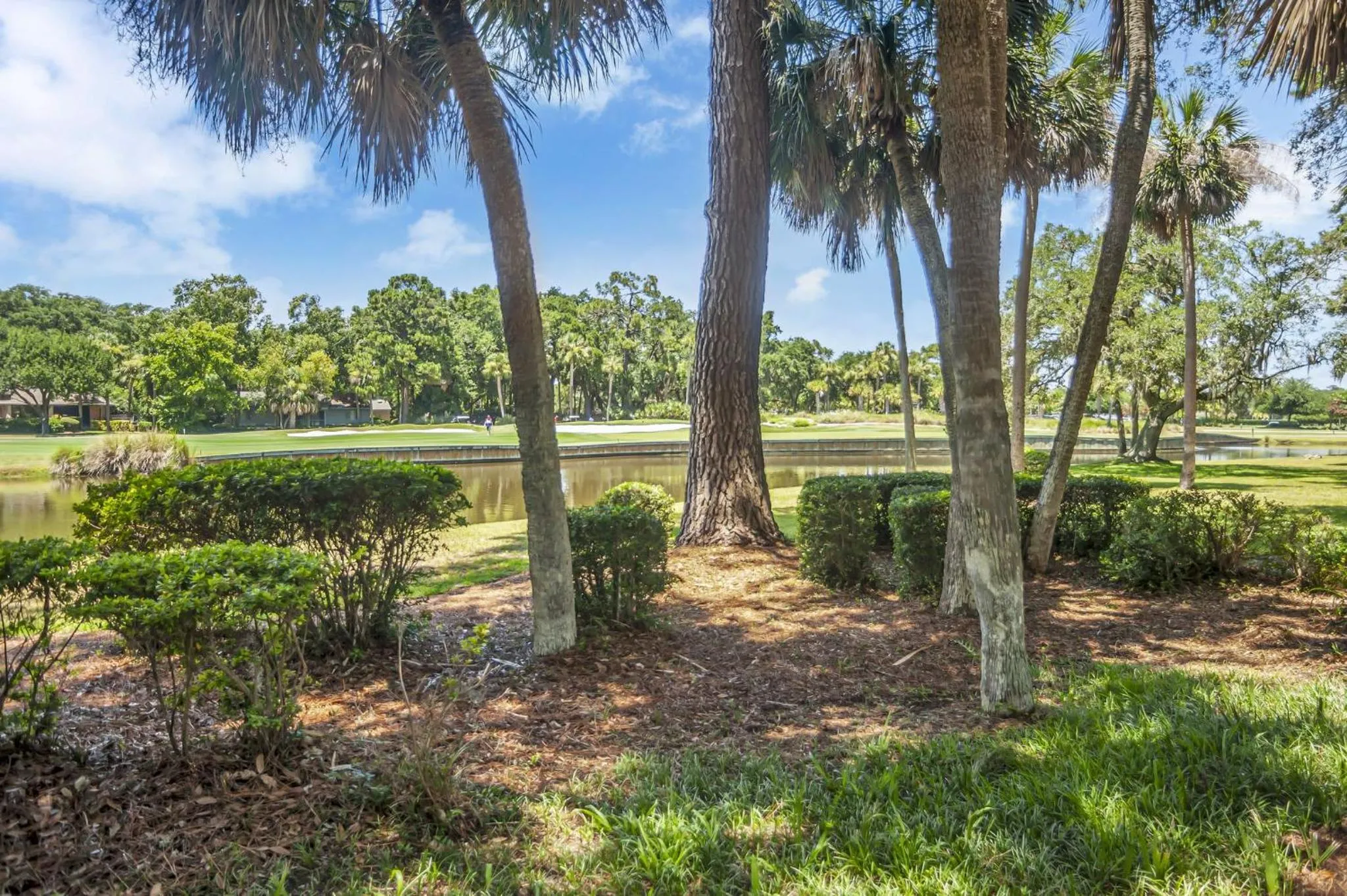 310A Beach Lagoon at The Sea Pines Resort