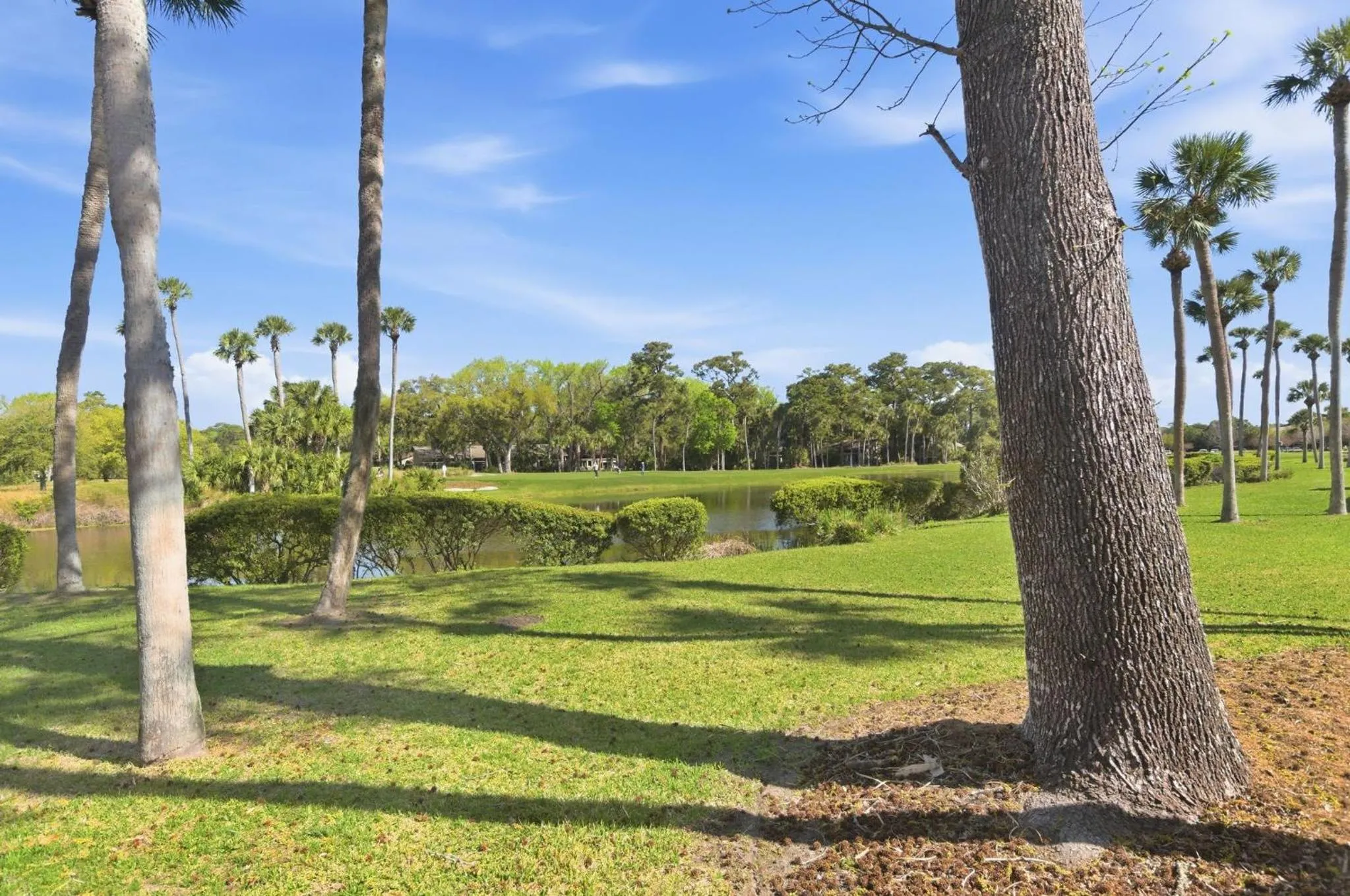 Other in 563 Ocean Course at The Sea Pines Resort