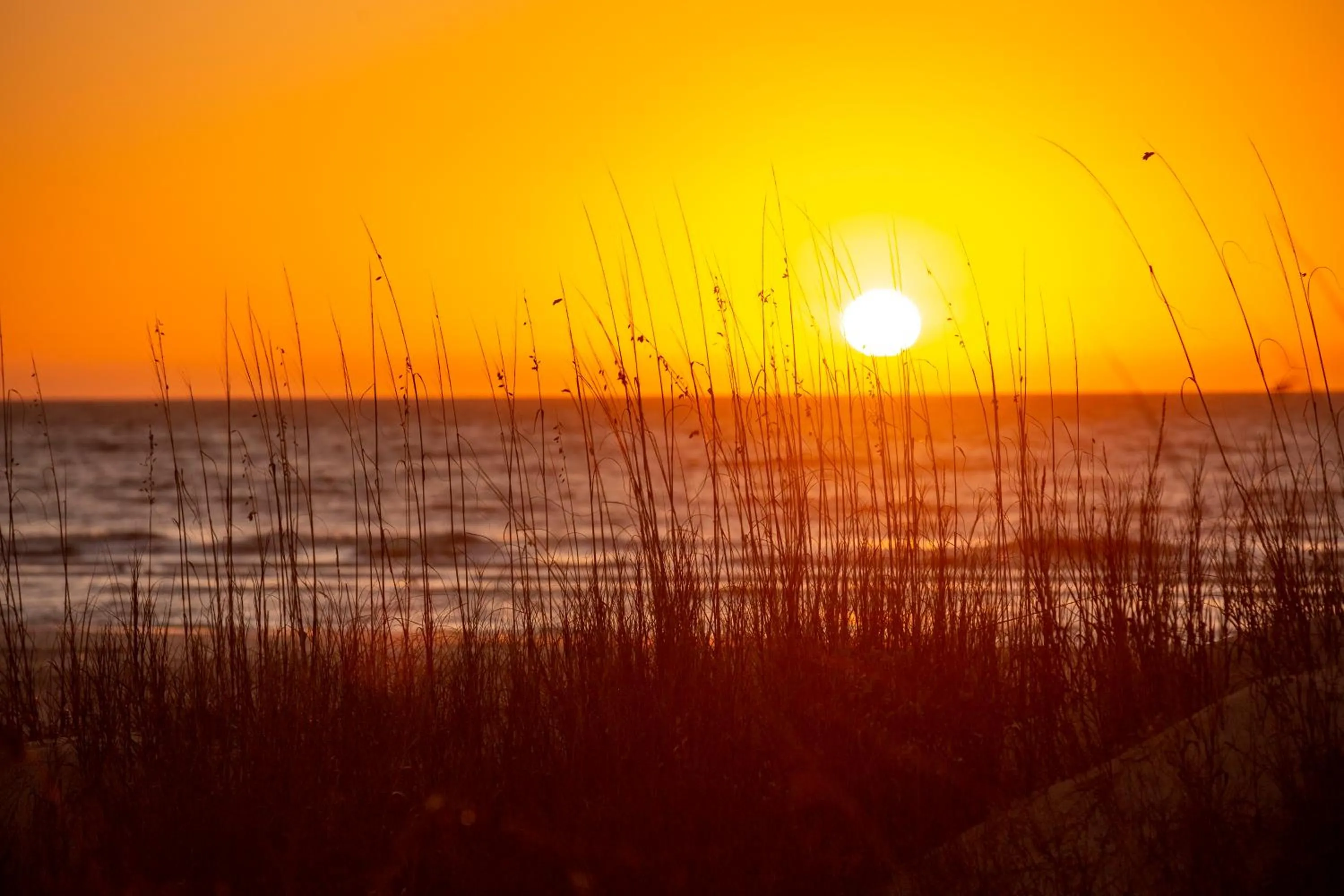 963 Cutter Court at The Sea Pines Resort