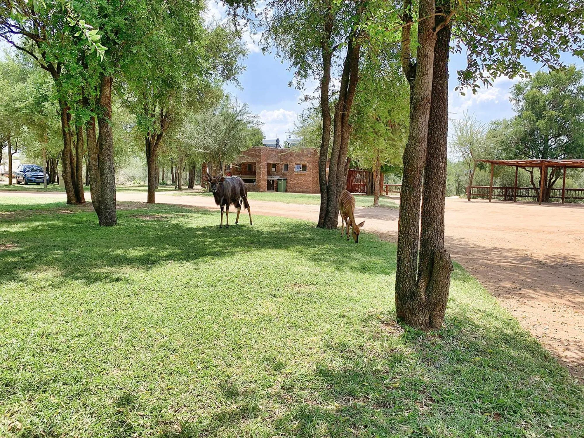 Photo of the whole room in Tshikwalo Game Lodge
