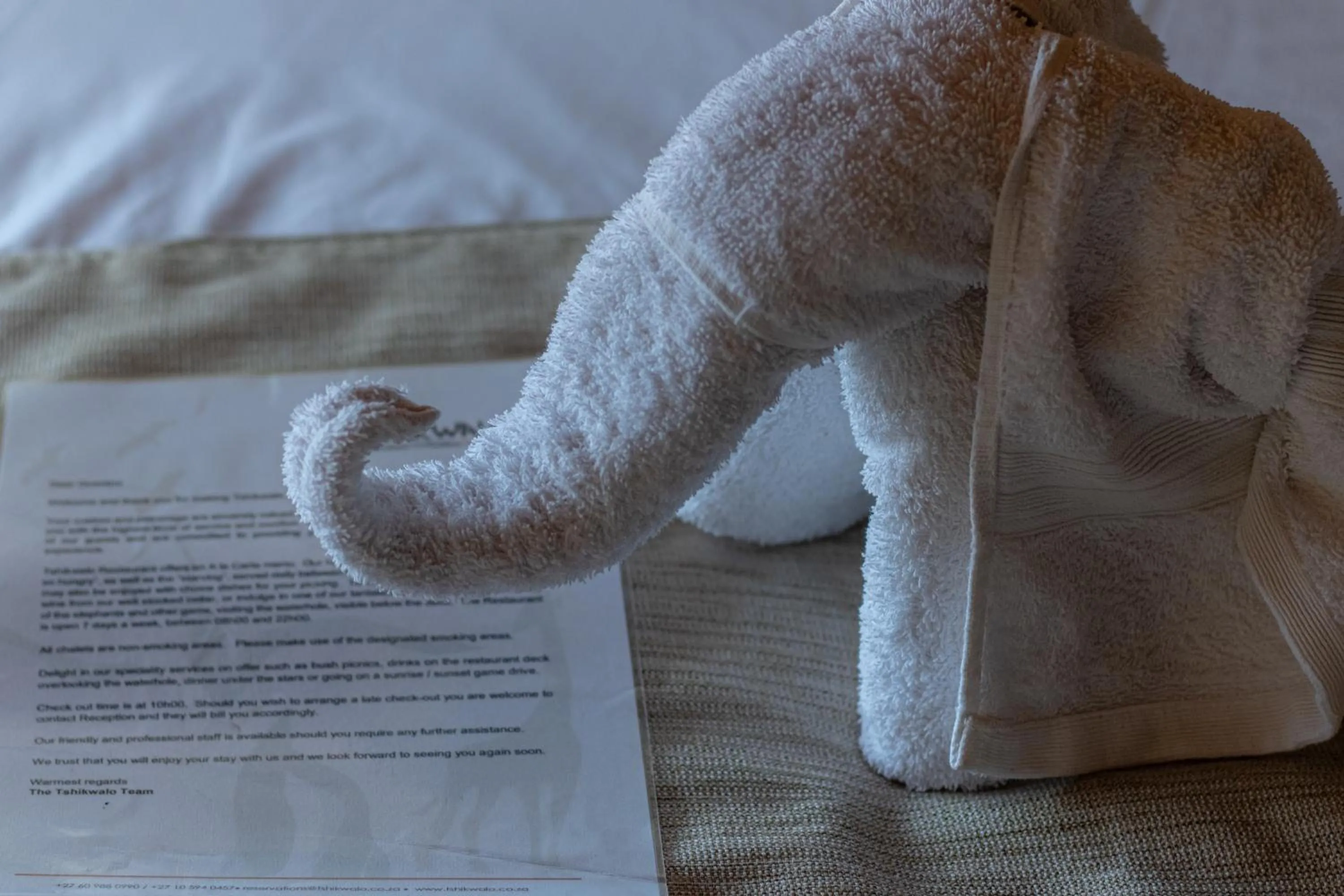 Bed in Tshikwalo Game Lodge