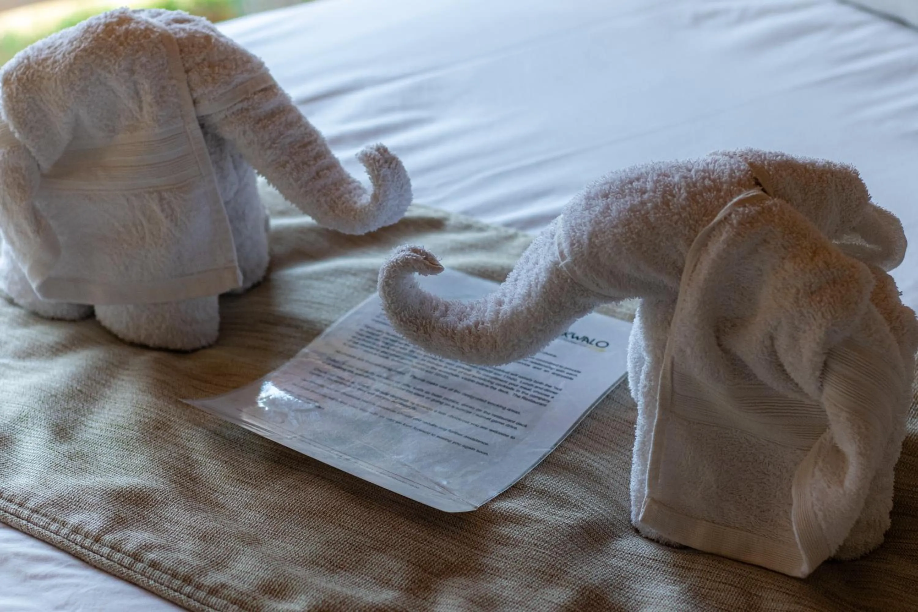 Bed in Tshikwalo Game Lodge