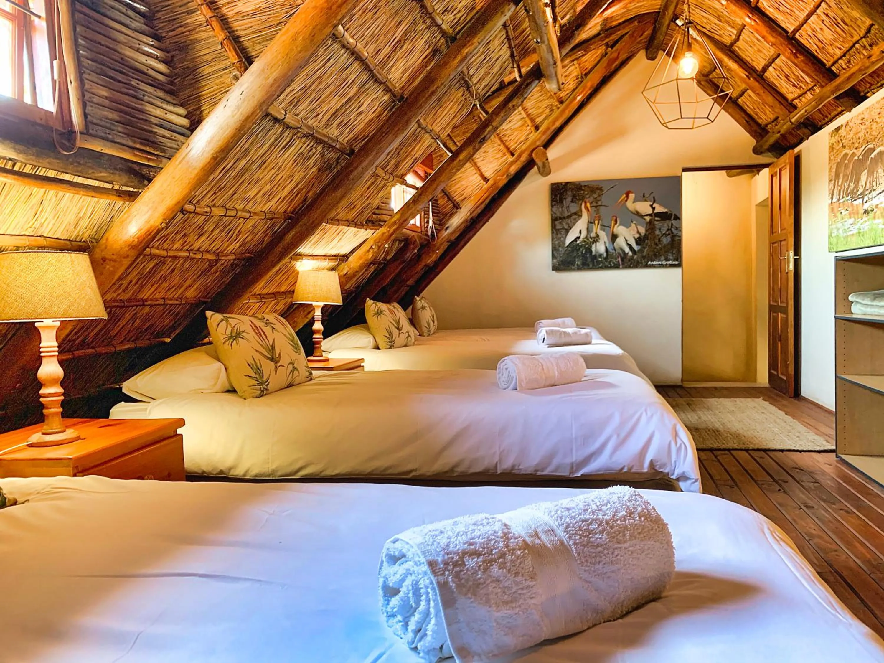 Bedroom, Bed in Tshikwalo Game Lodge