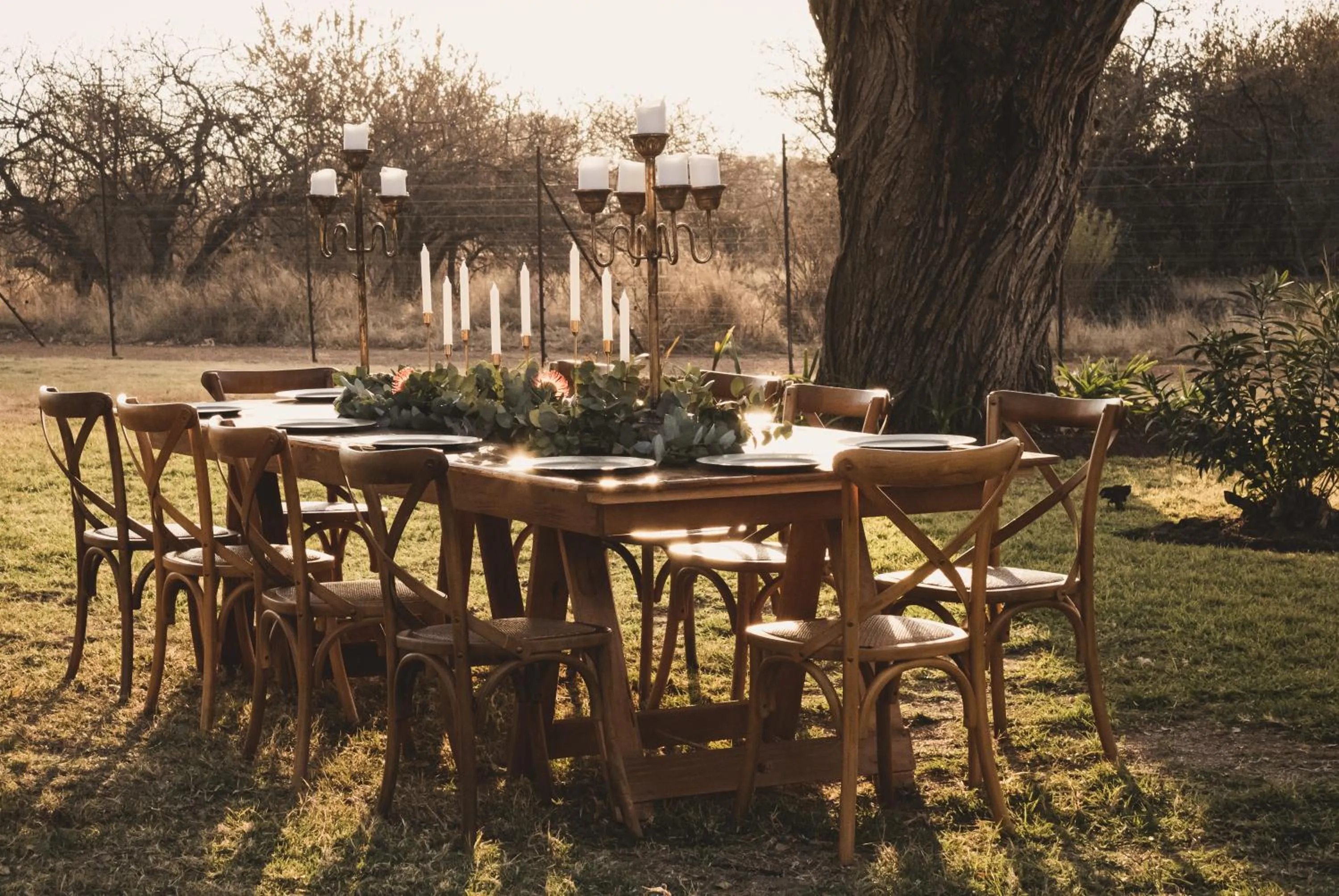 Garden in Tshikwalo Game Lodge