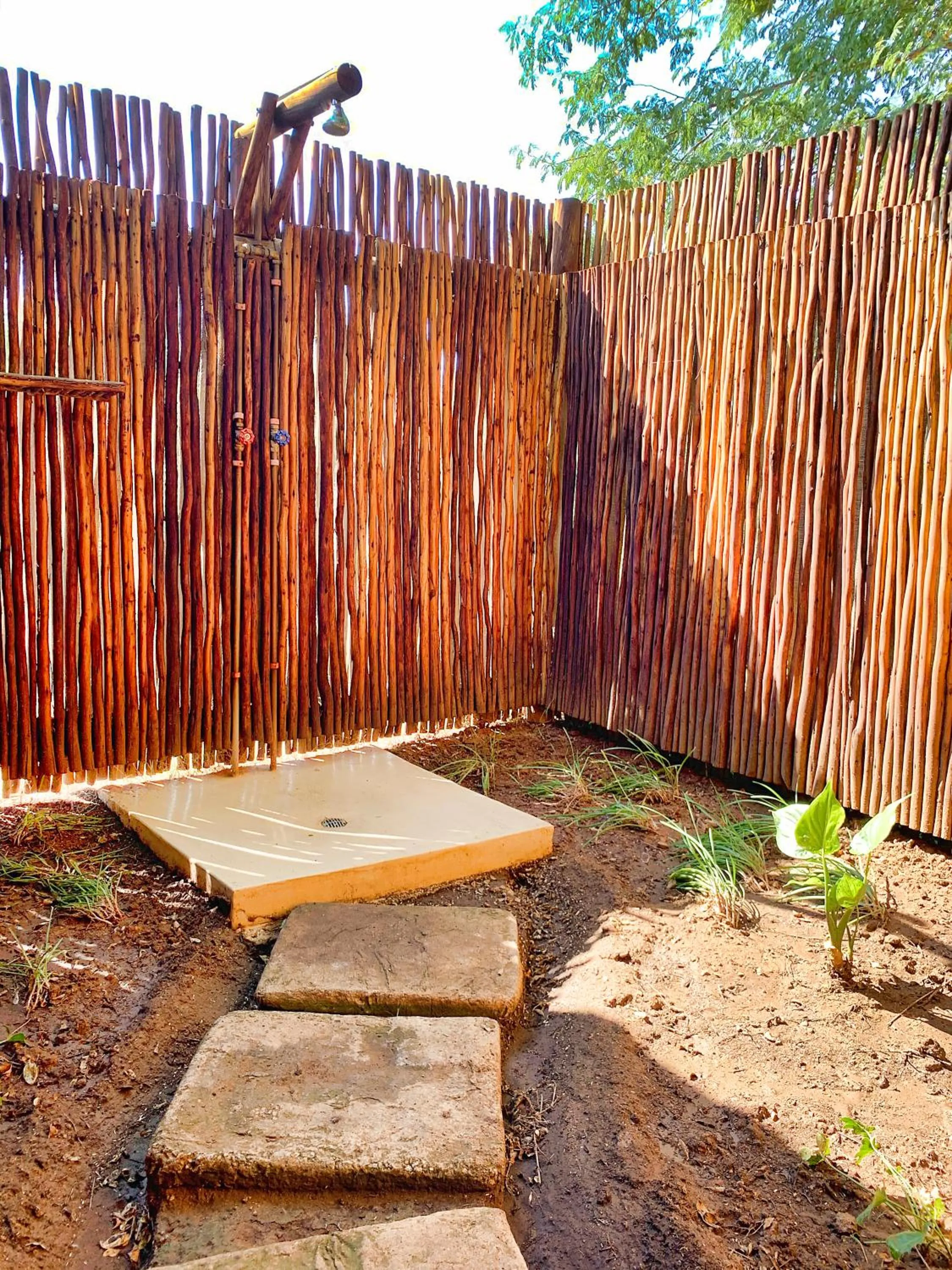Shower in Tshikwalo Game Lodge