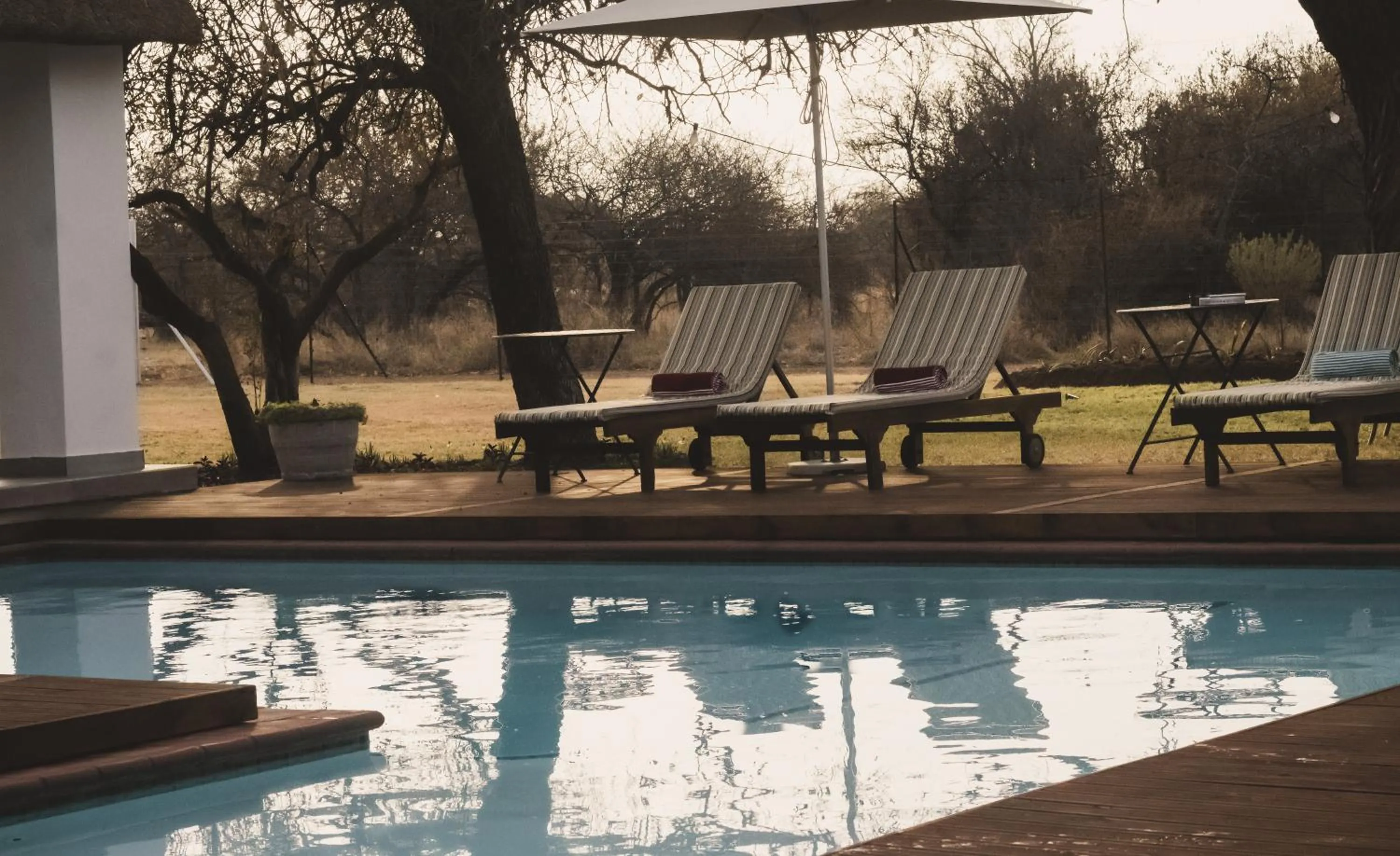 Swimming pool in Tshikwalo Game Lodge