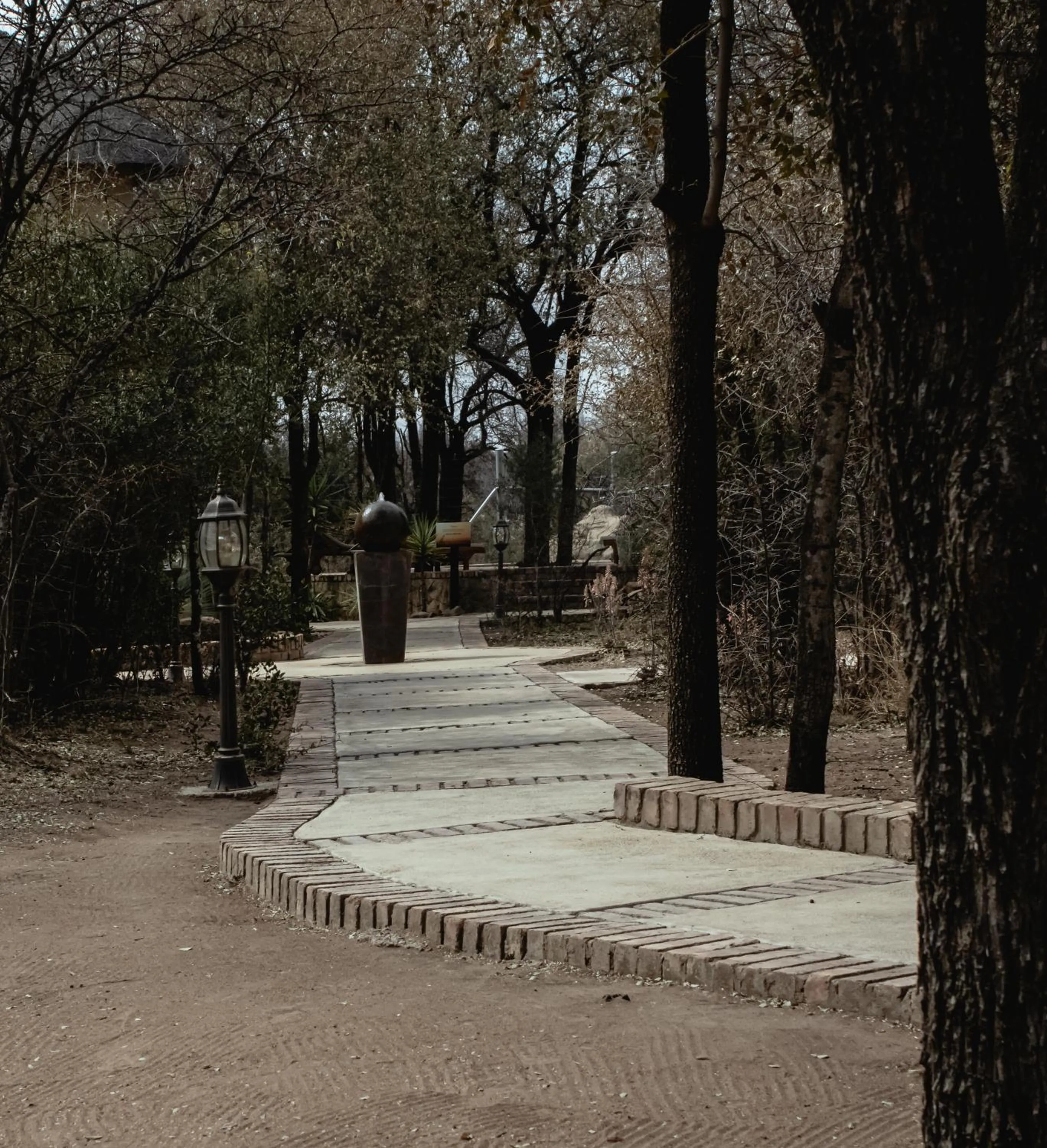 Garden in Tshikwalo Game Lodge