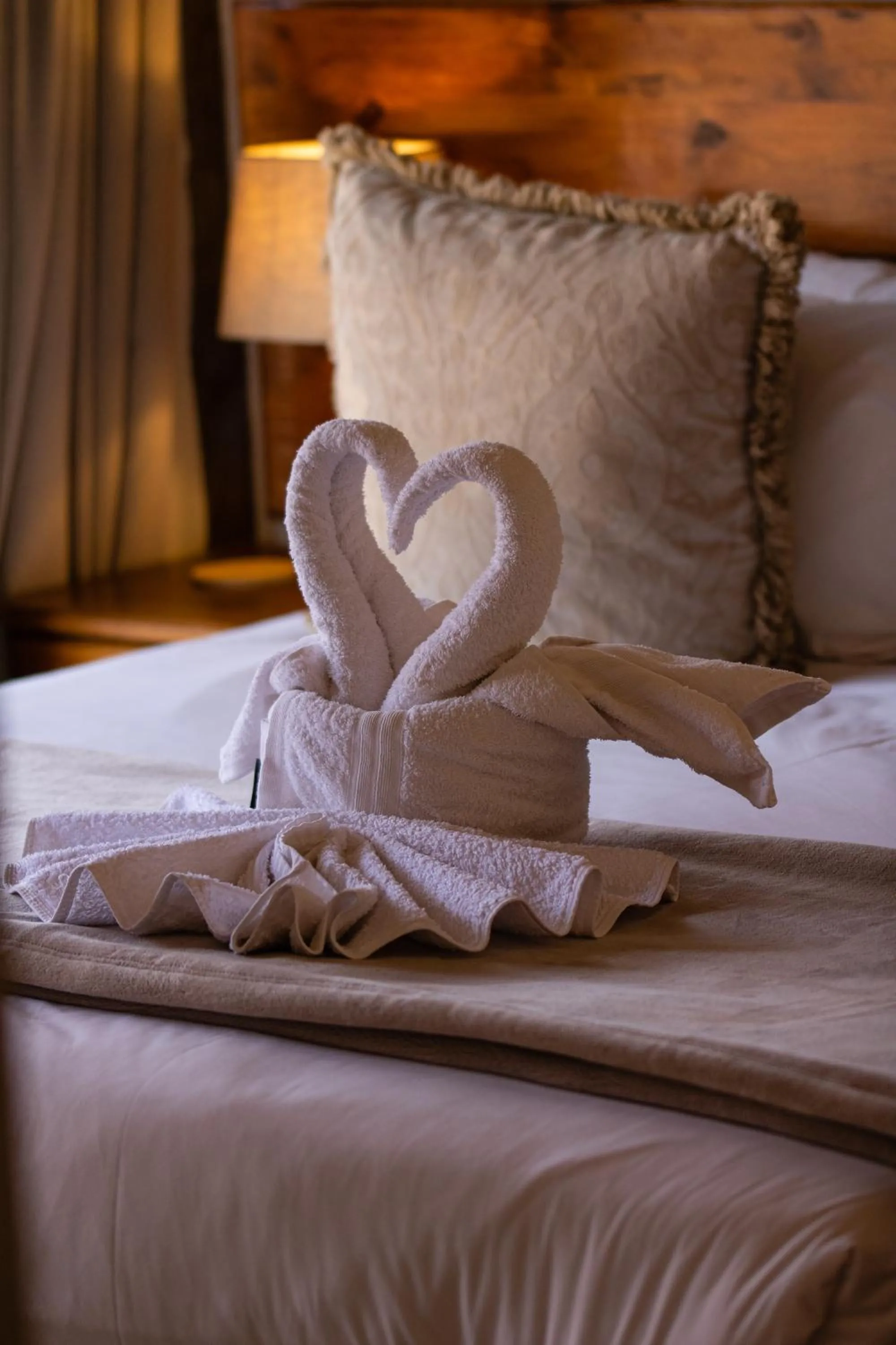 Bed in Tshikwalo Game Lodge
