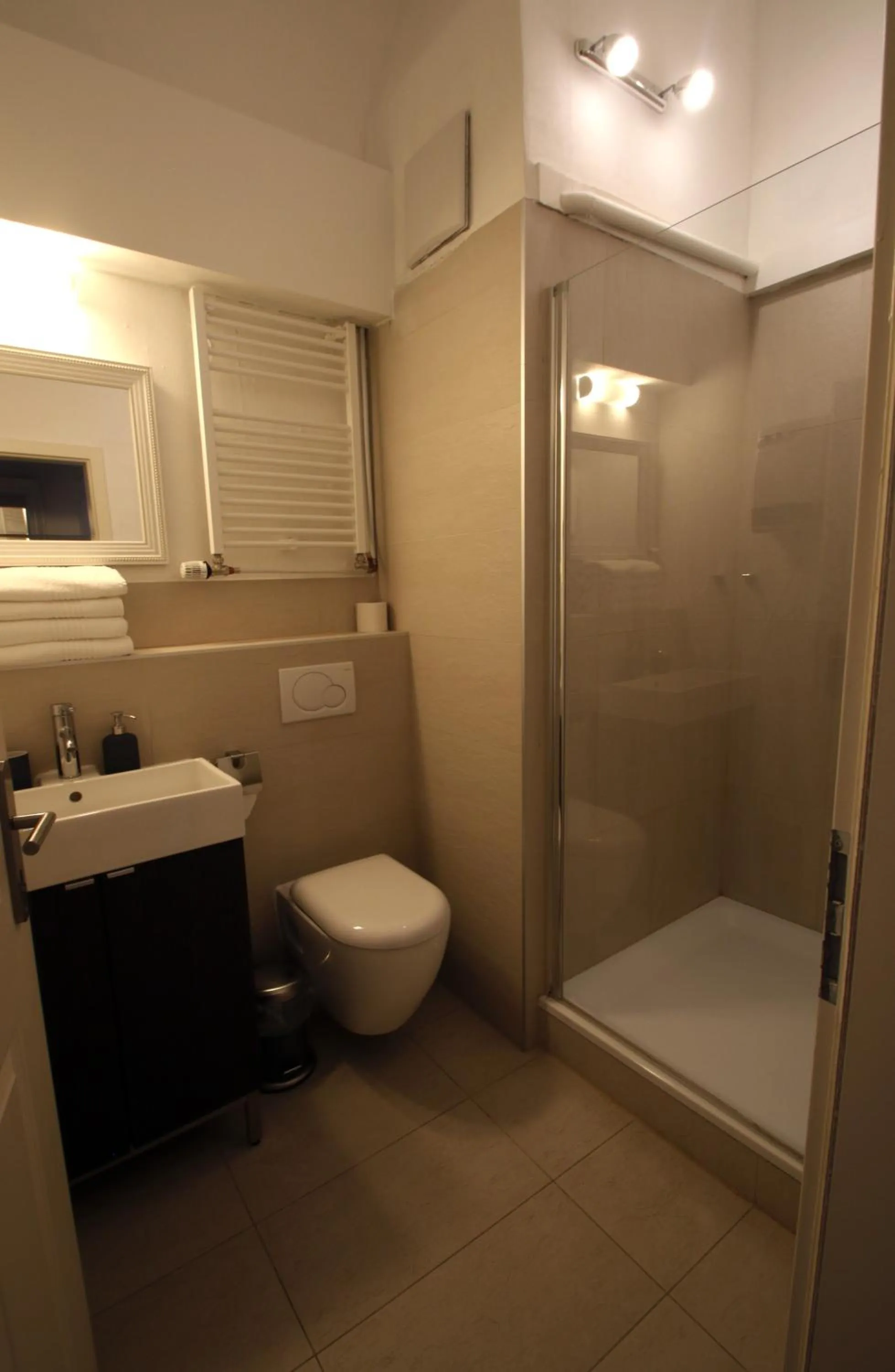 Shower in Hotel Sudpfanne