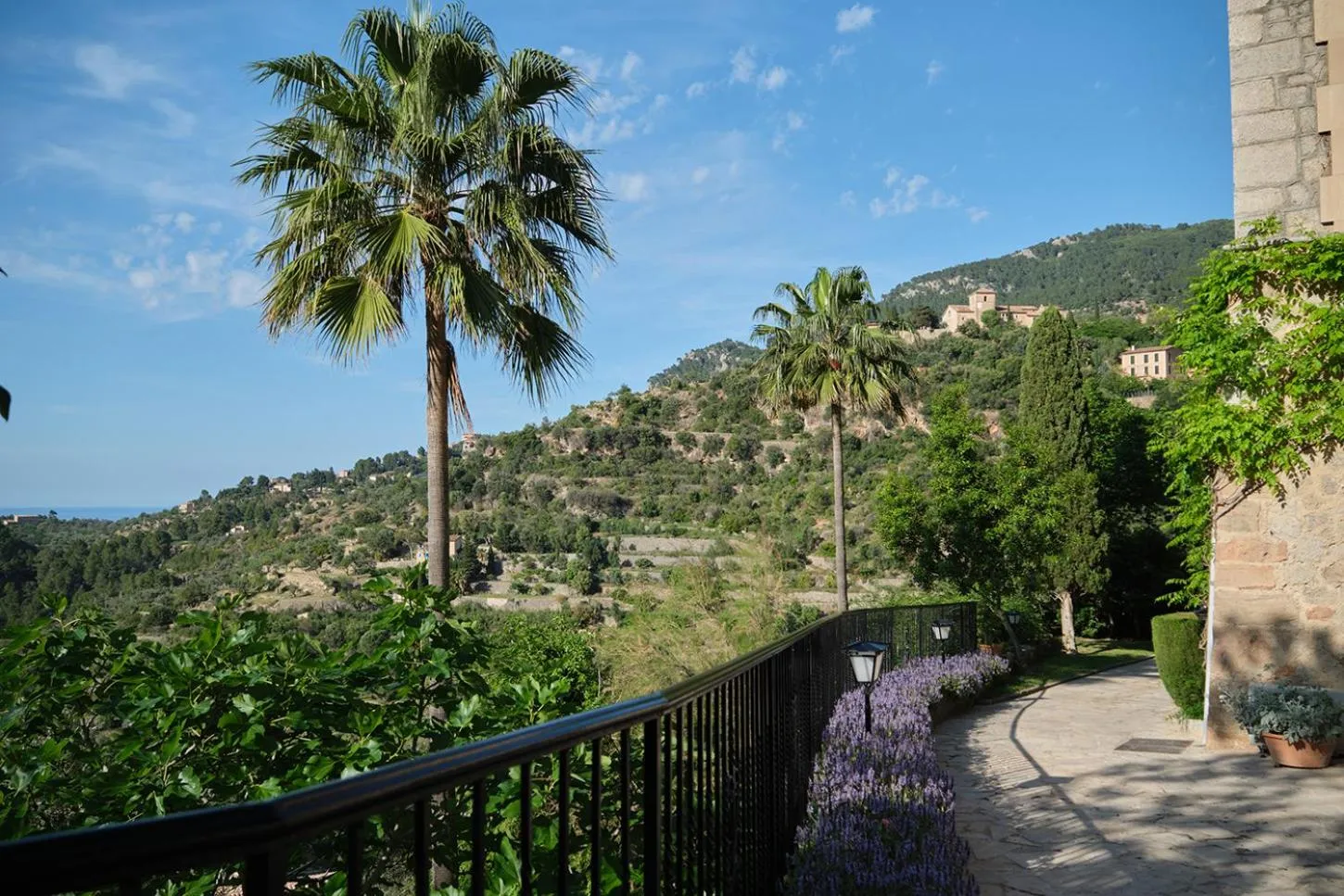 Garden in Es Moli Hotel