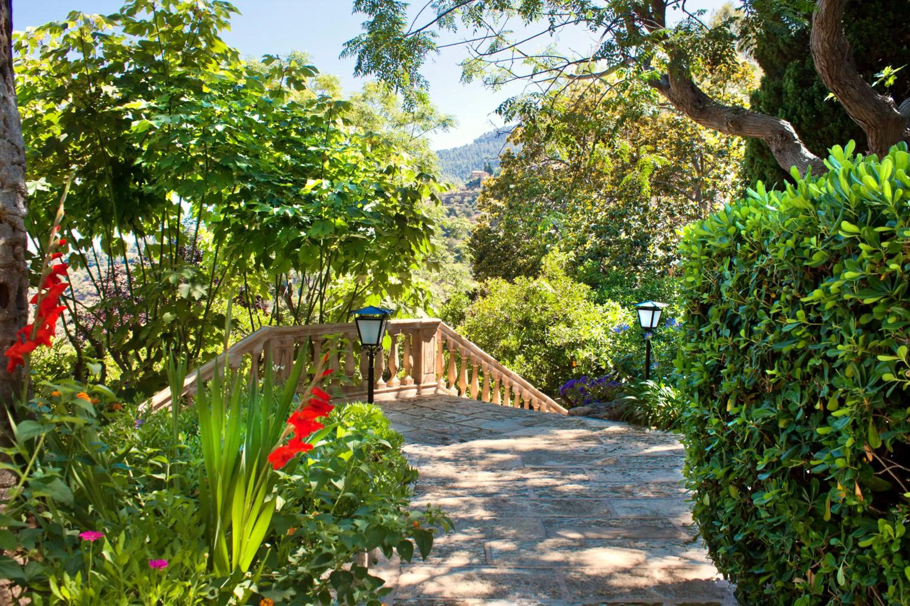 Natural landscape in Es Moli Hotel