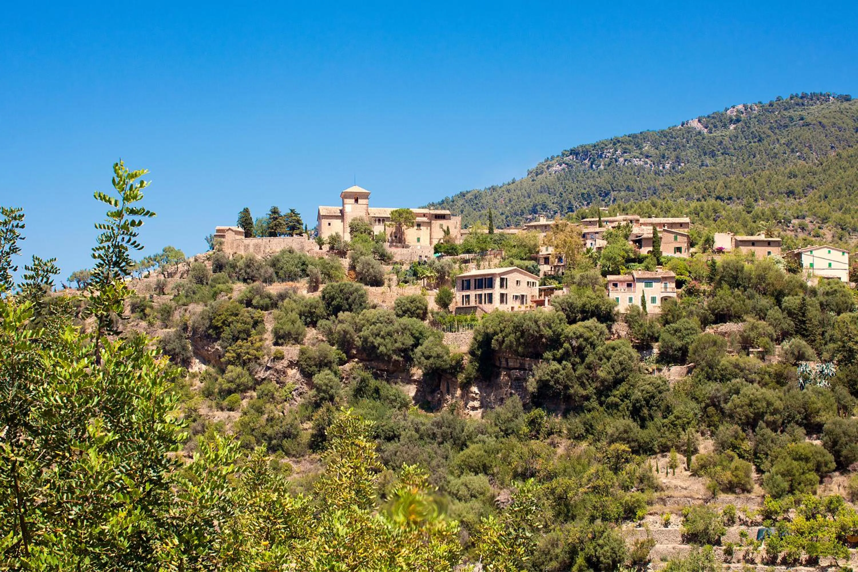 Nearby landmark in Es Moli Hotel