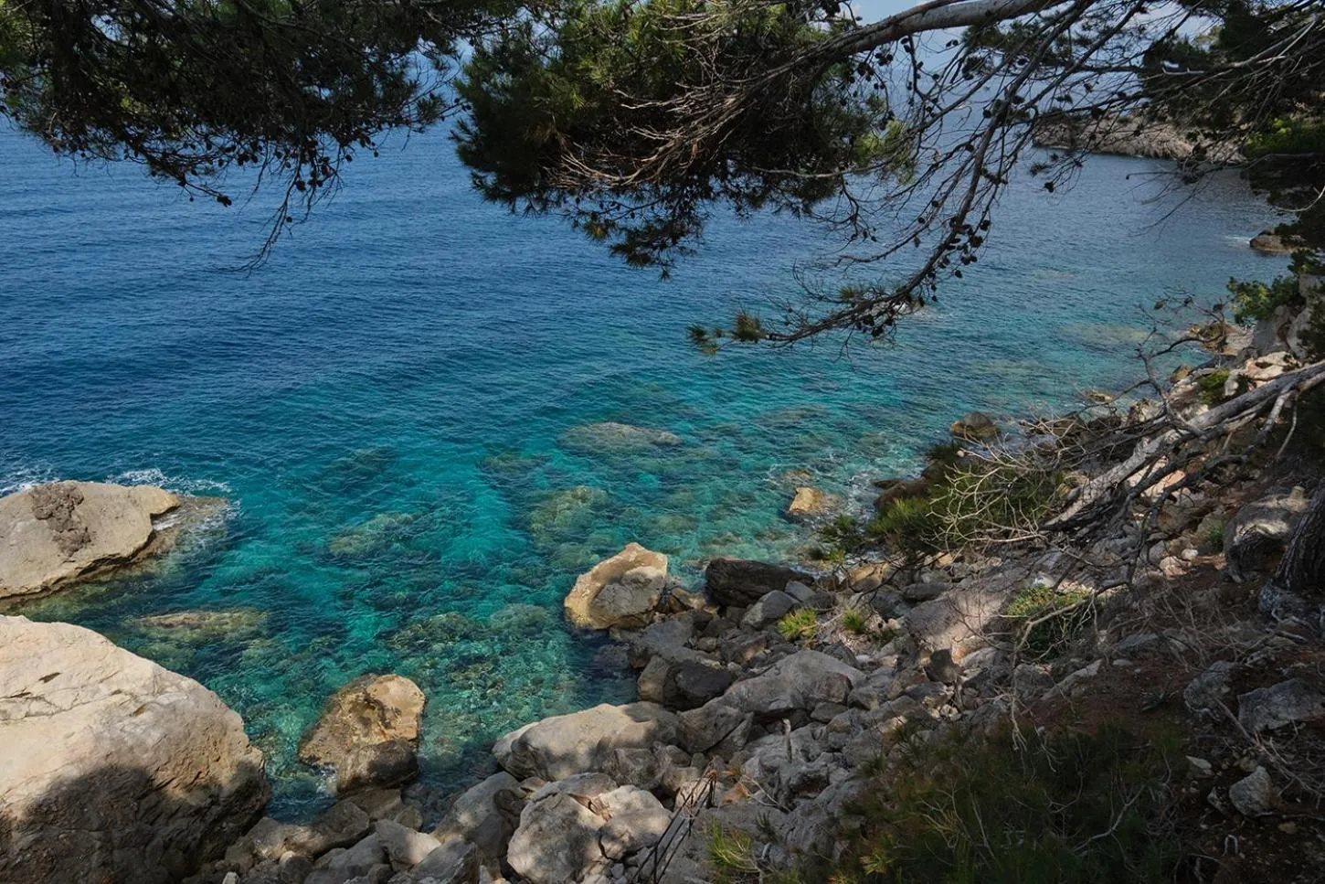 Natural landscape in Es Moli Hotel