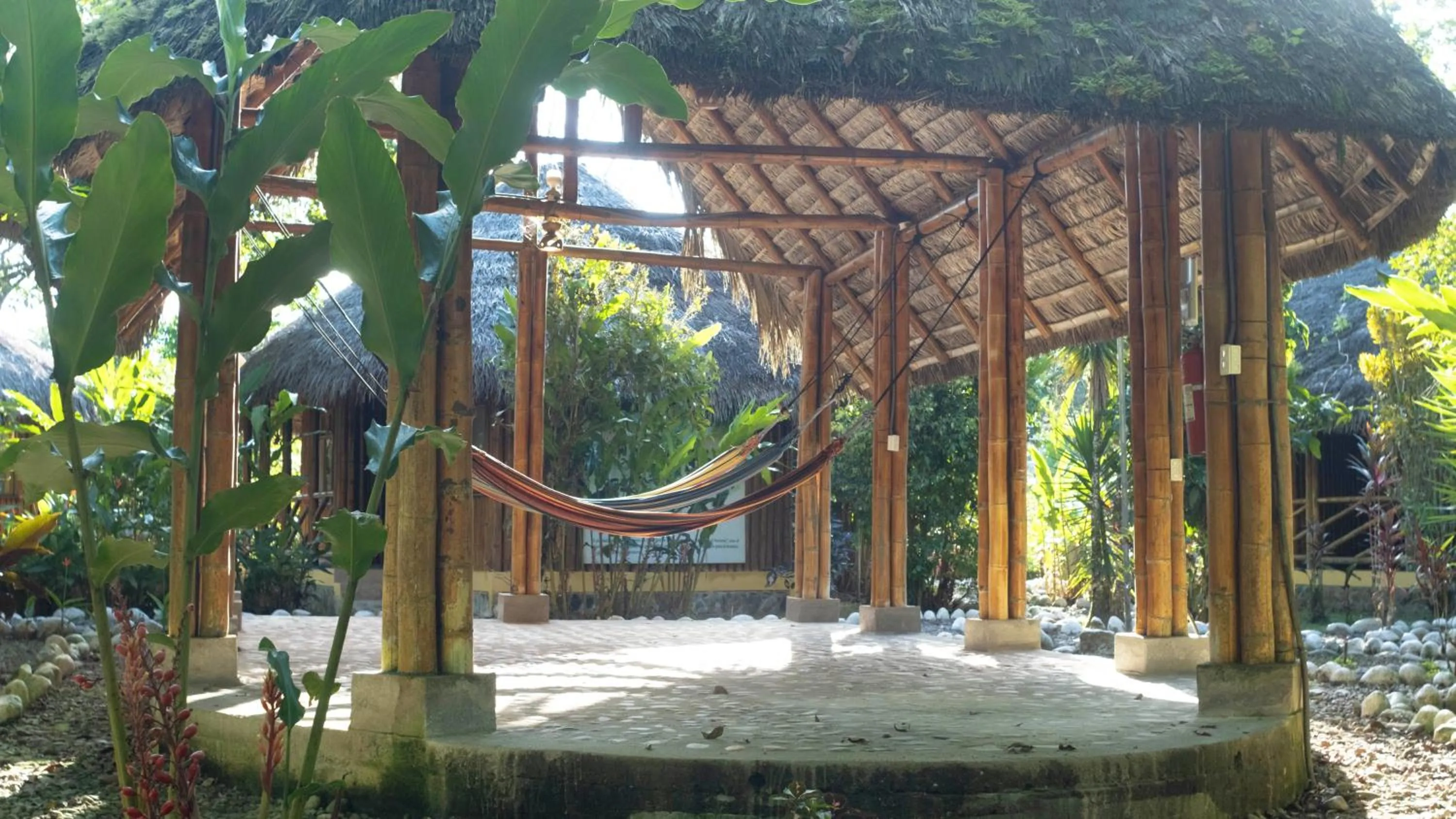 Property building in Shandia Lodge