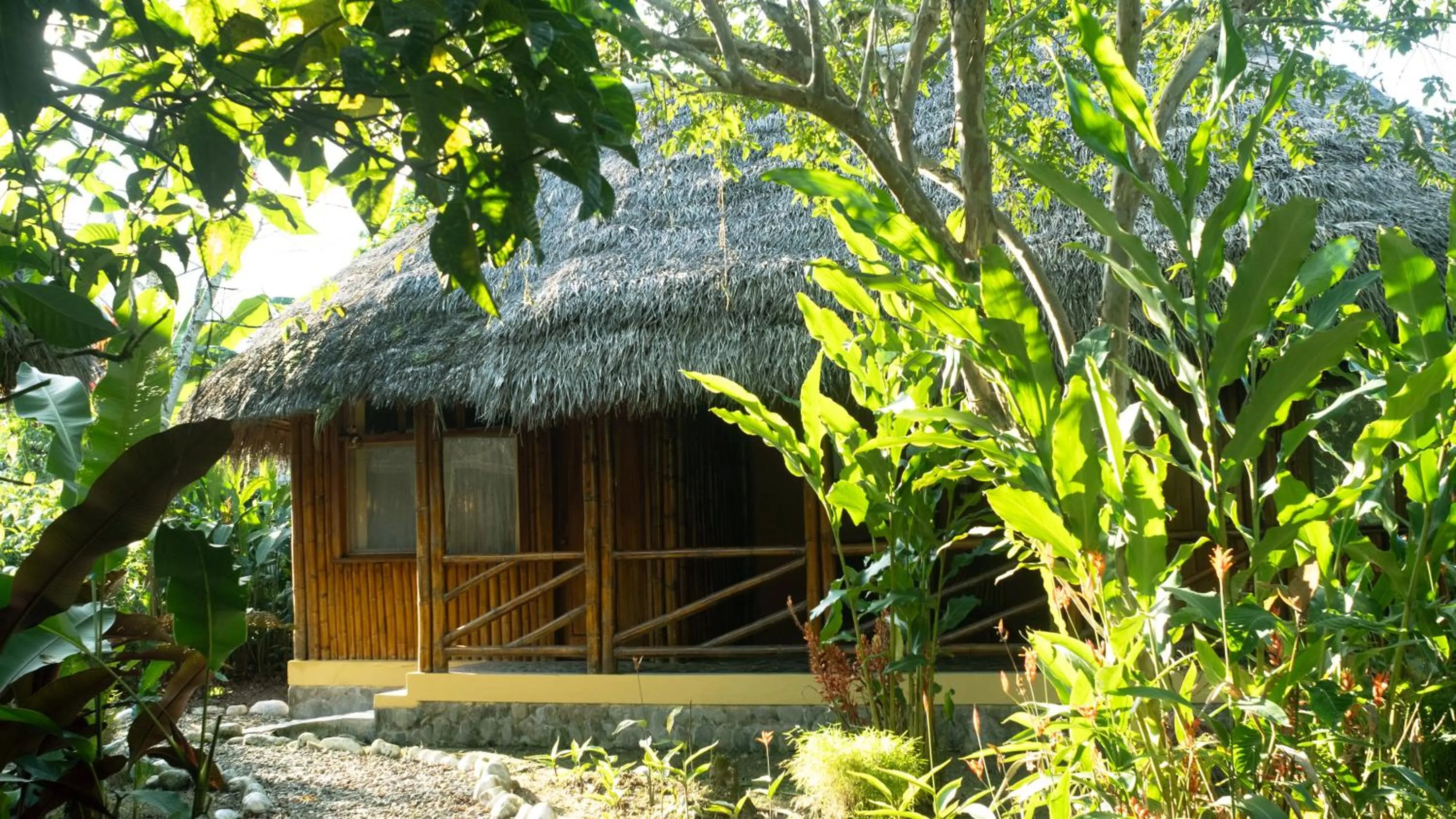 Property building in Shandia Lodge