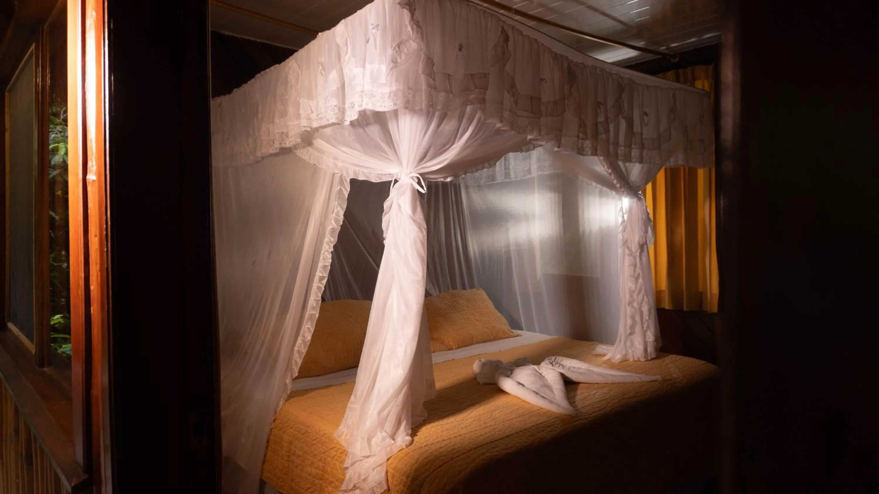 Guests, Bed in Shandia Lodge