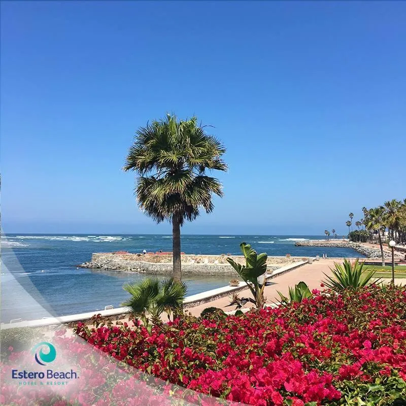 Estero Beach Hotel & Resort