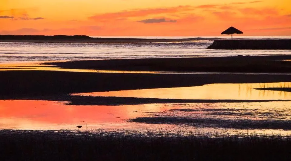 Estero Beach Hotel & Resort