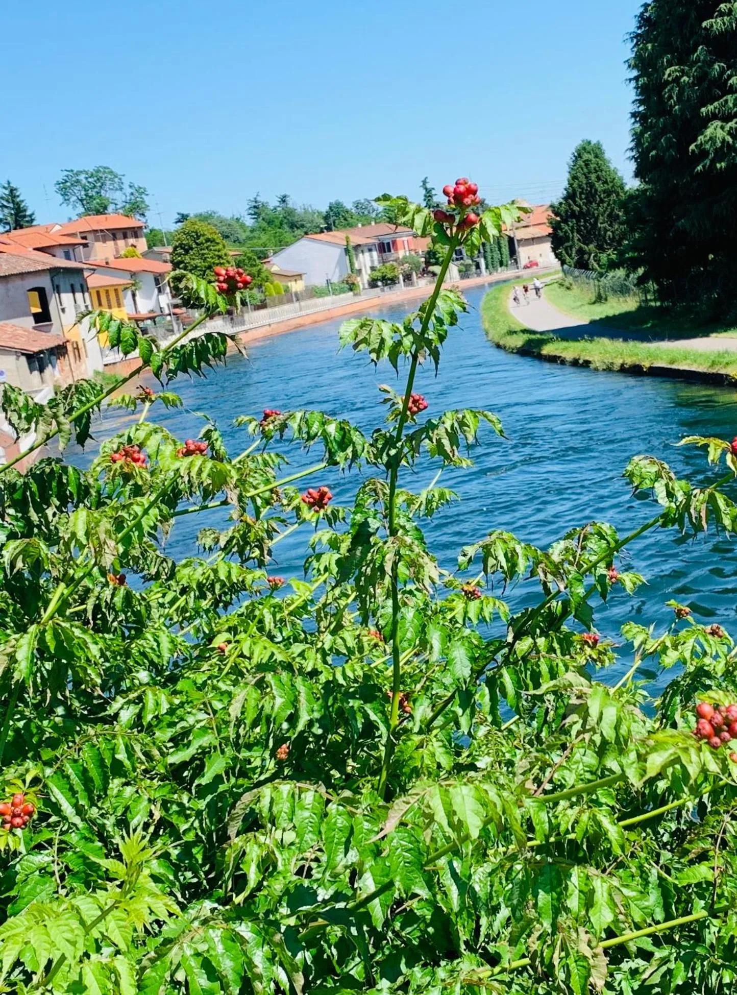 Spring in Hotel Malpensafiera