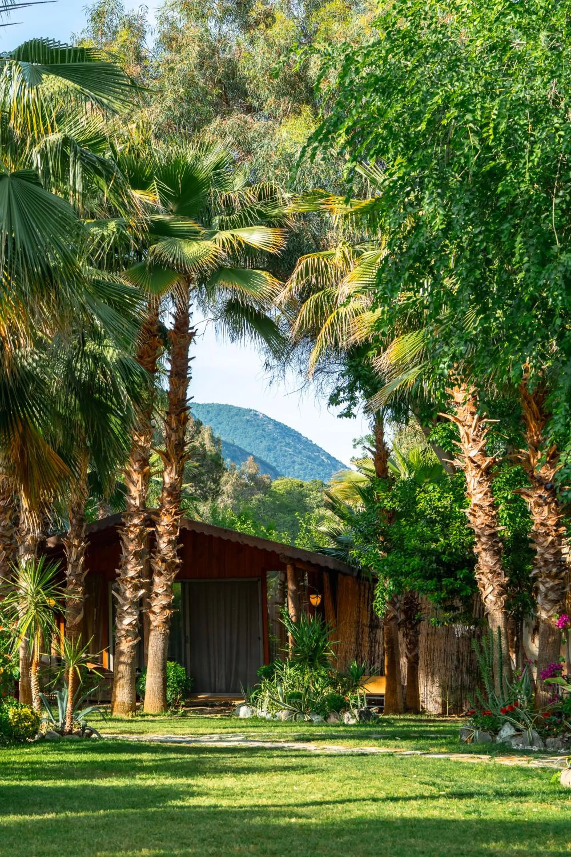 Garden view in Layla Gocek Adults only