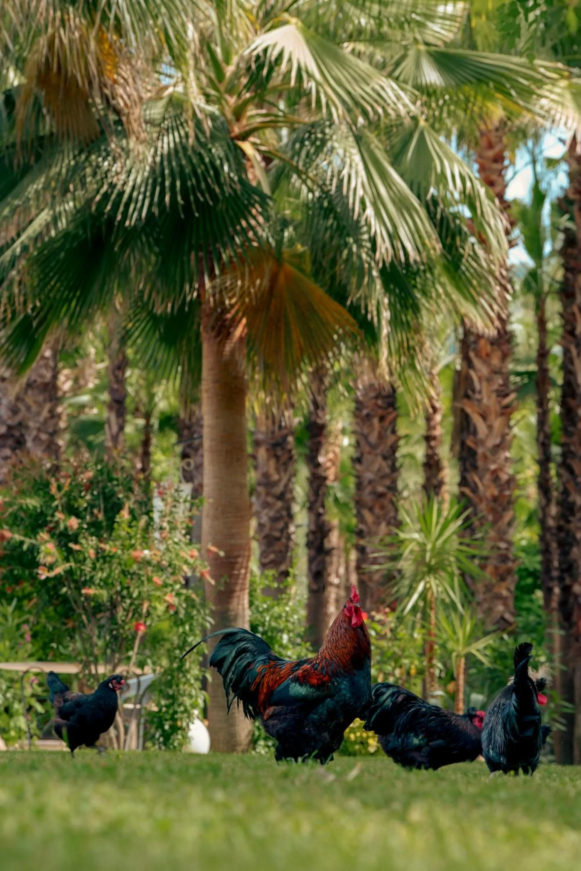 Restaurant/places to eat in Layla Gocek Adults only