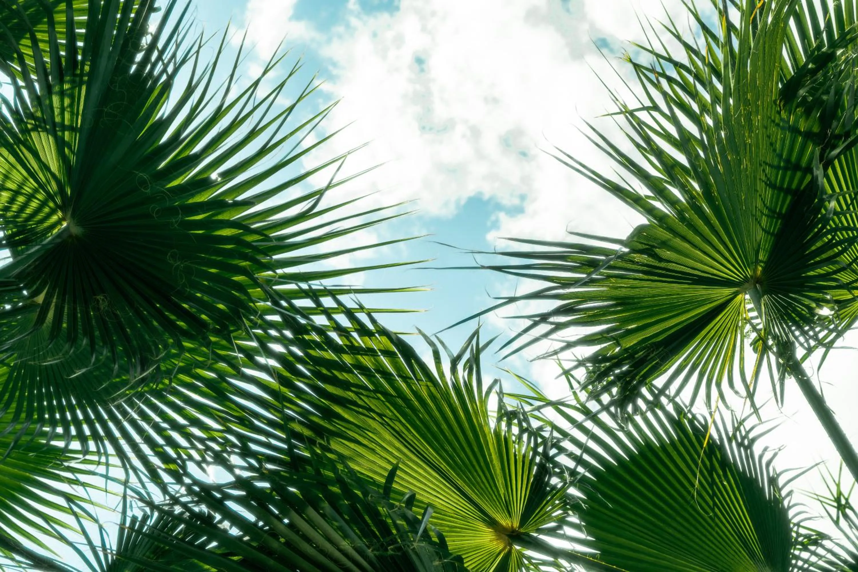 Bird's eye view in Layla Gocek Adults only