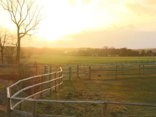 Other in Oase Friedensthal