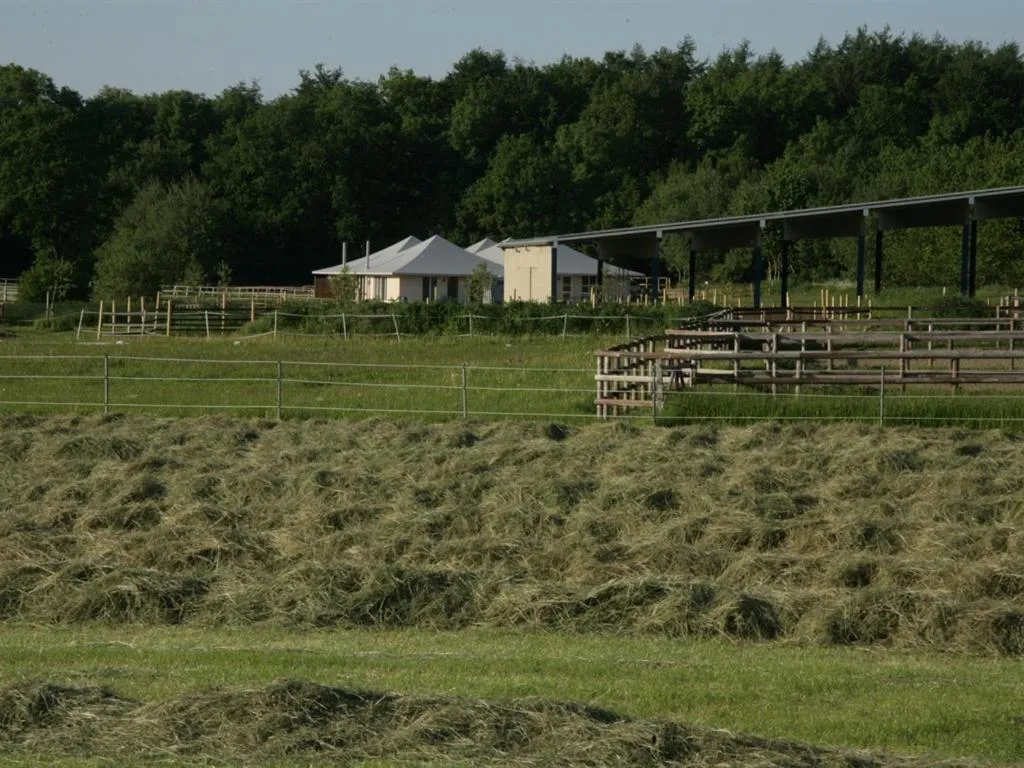 Other in Oase Friedensthal