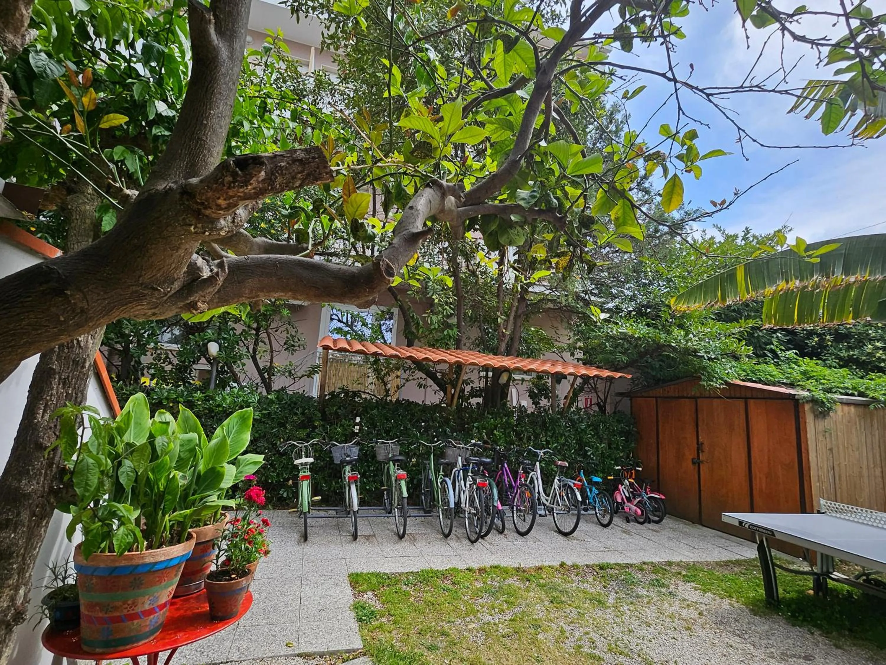 Cycling in Hotel Cerrano