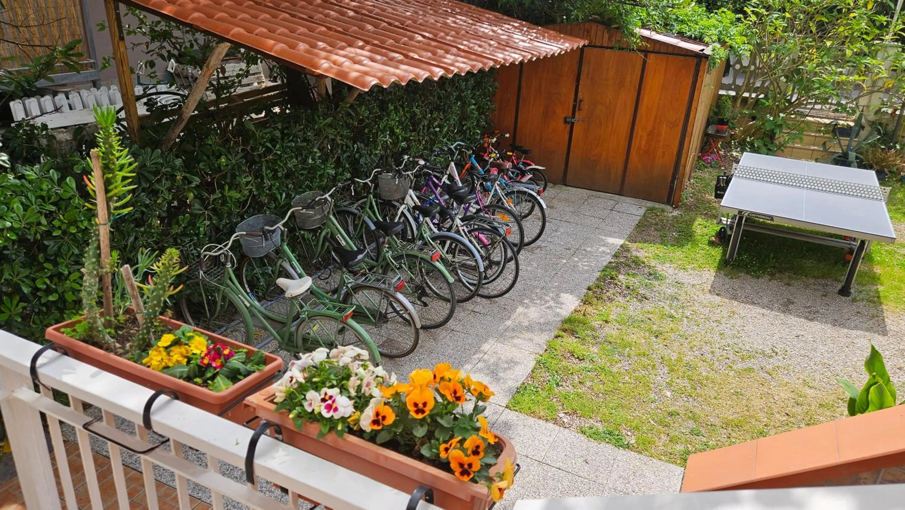 Cycling in Hotel Cerrano