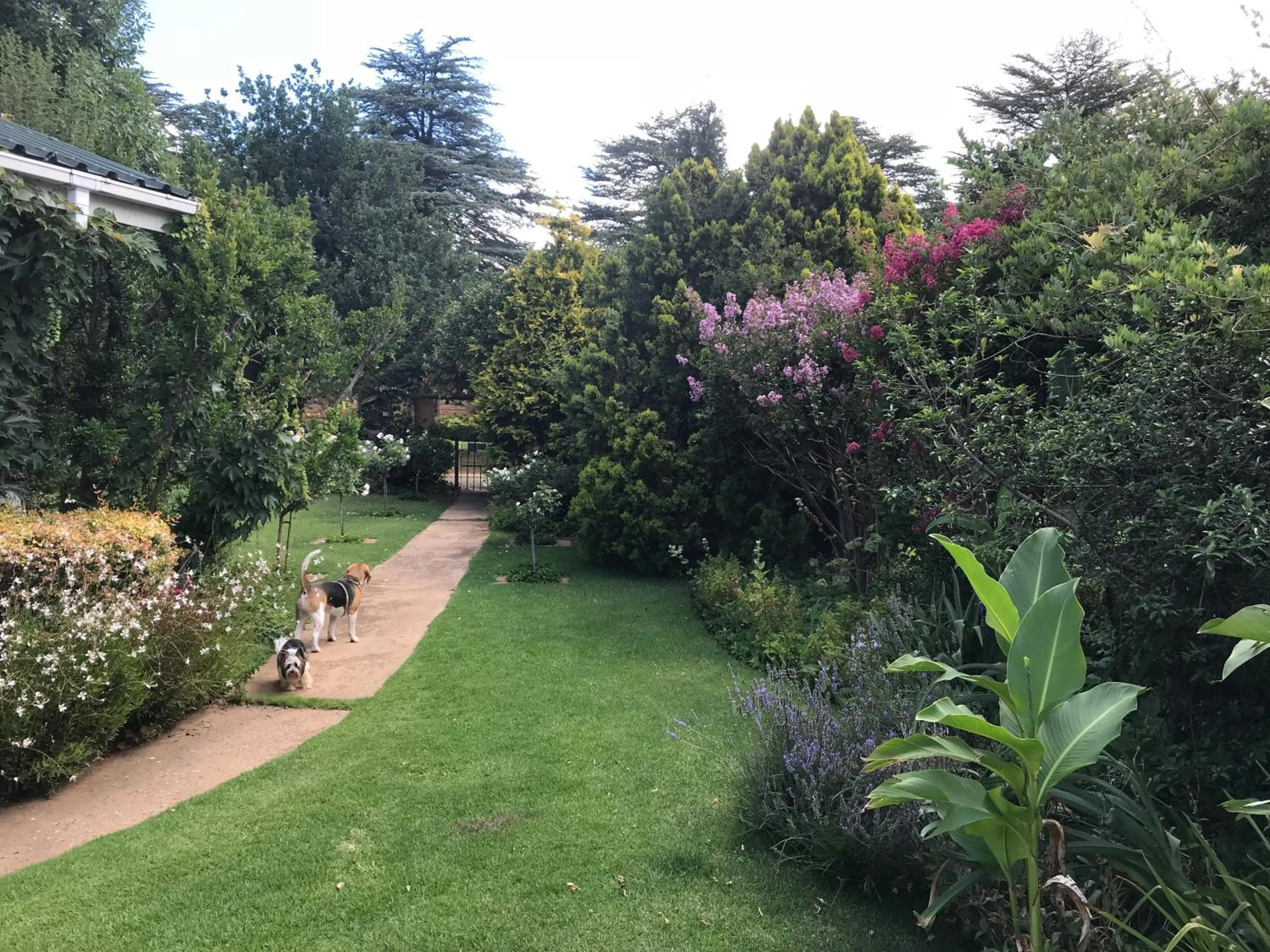 Garden in Rosewood Corner, Clarens