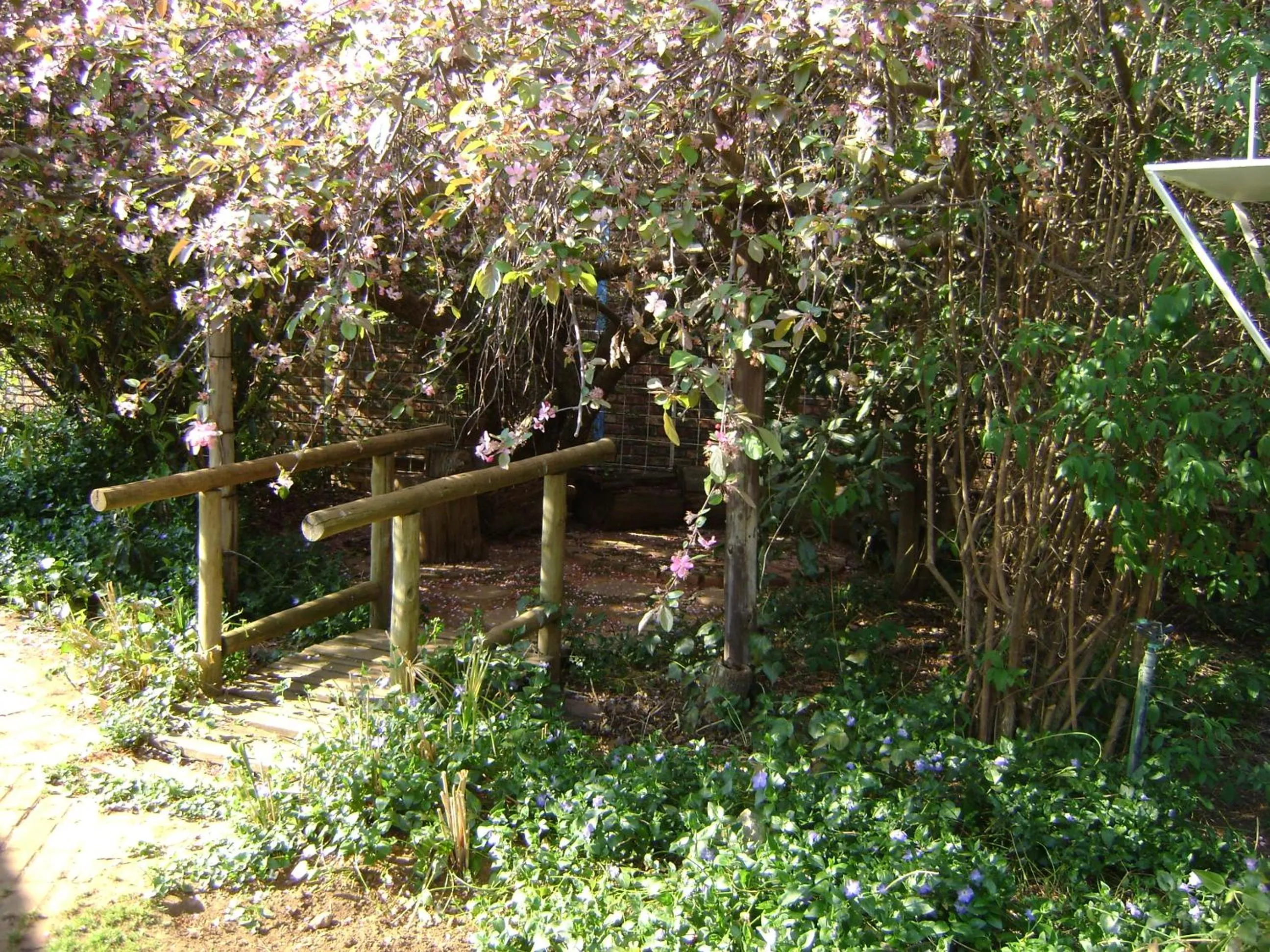 Garden in Rosewood Corner, Clarens