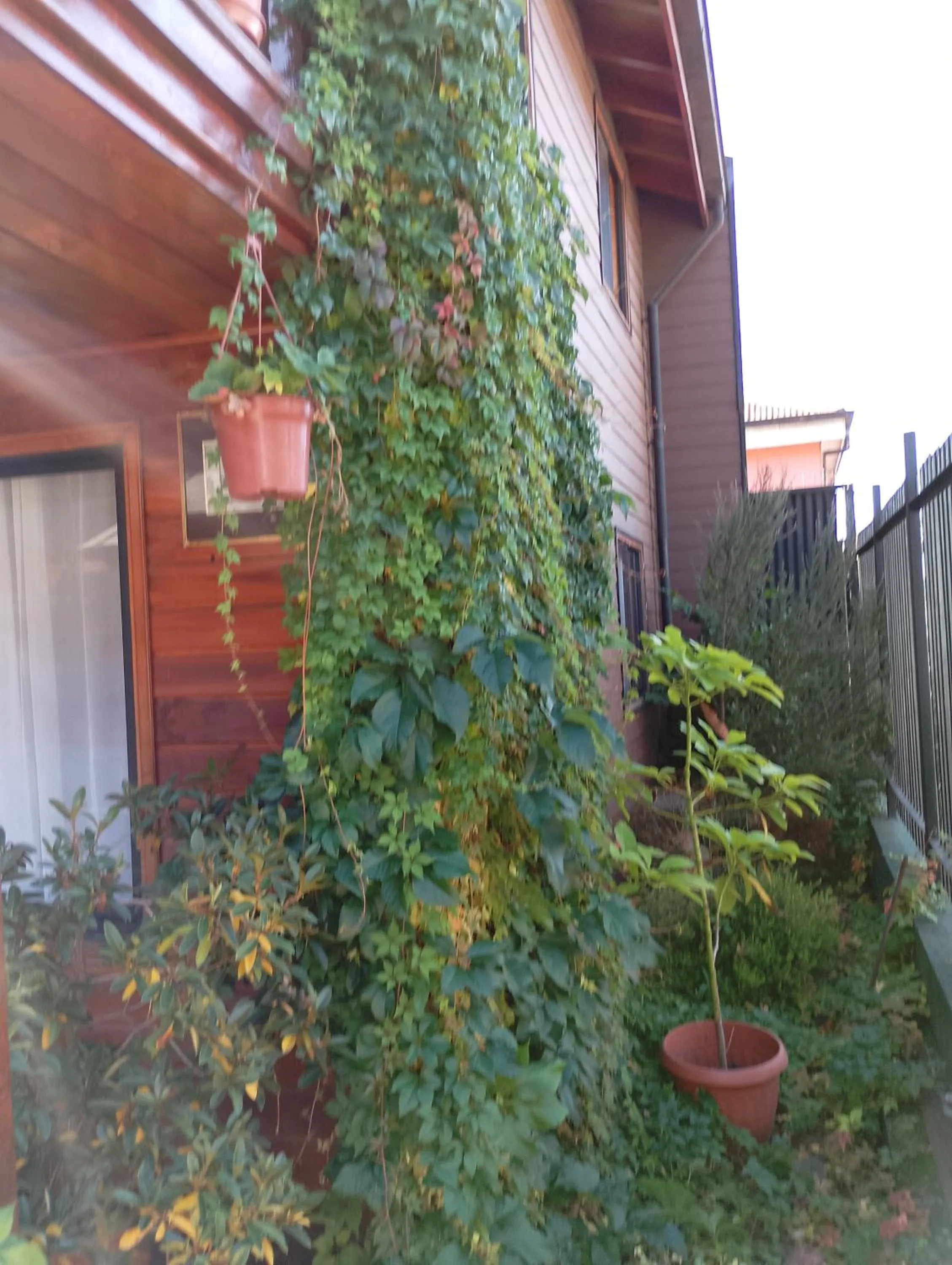 Garden view in Apart-Hotel Colonia-Königsberg UBICADO COSTADO TERMINAL BUSES, RÍO CALLE CALLE CARABINEROS DEPARTAMENTOS COMPLETOS CON AIRE ACONDICIONADO Y ESTACIONAMIENTO