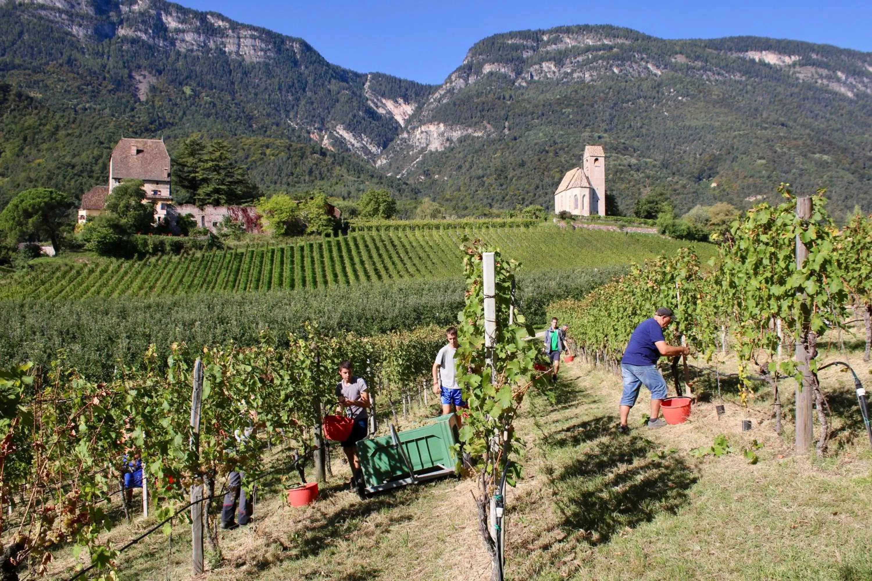 Area and facilities in Schloss Englar