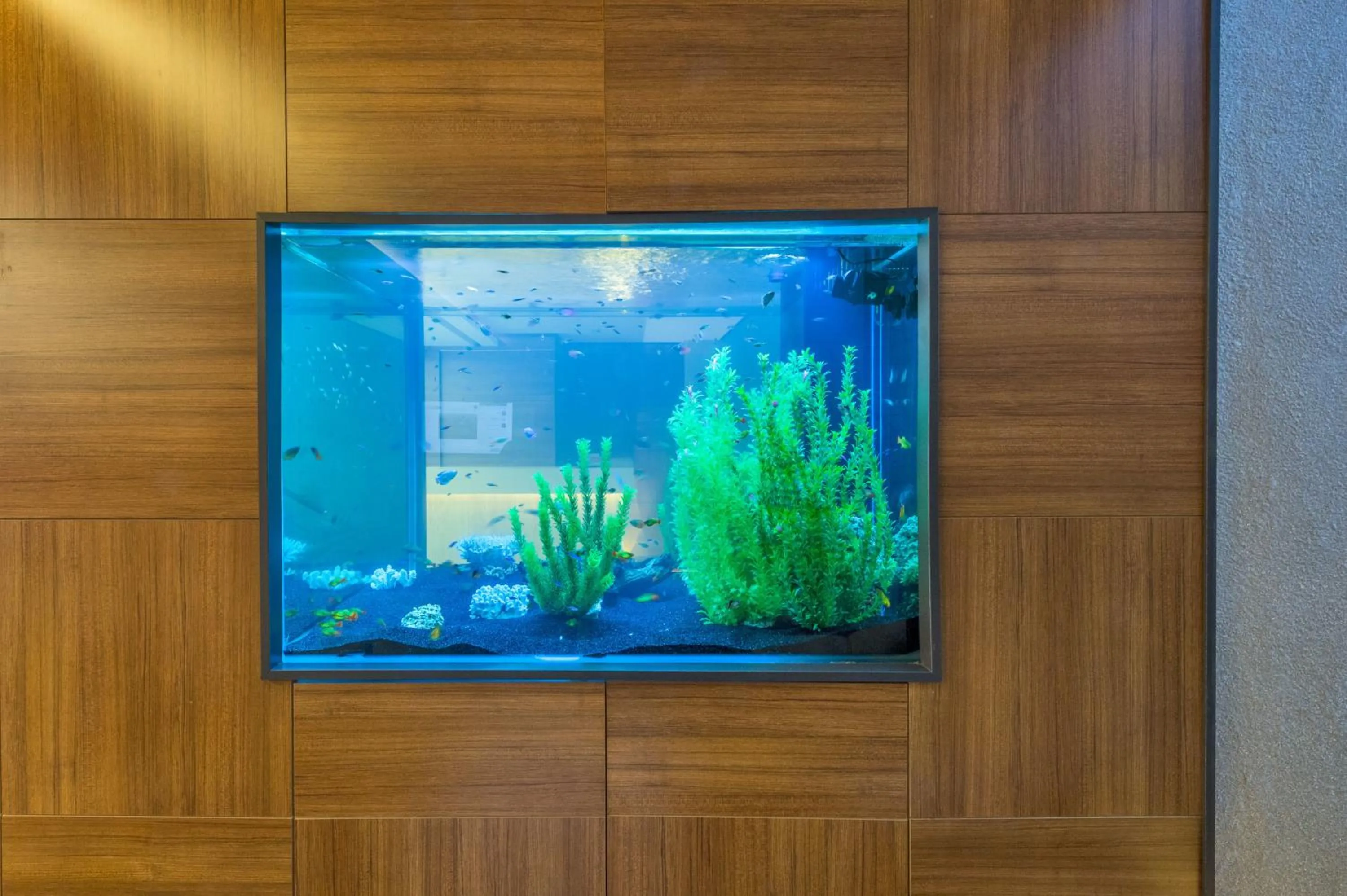 Lobby or reception in Matiat Hotel Istanbul