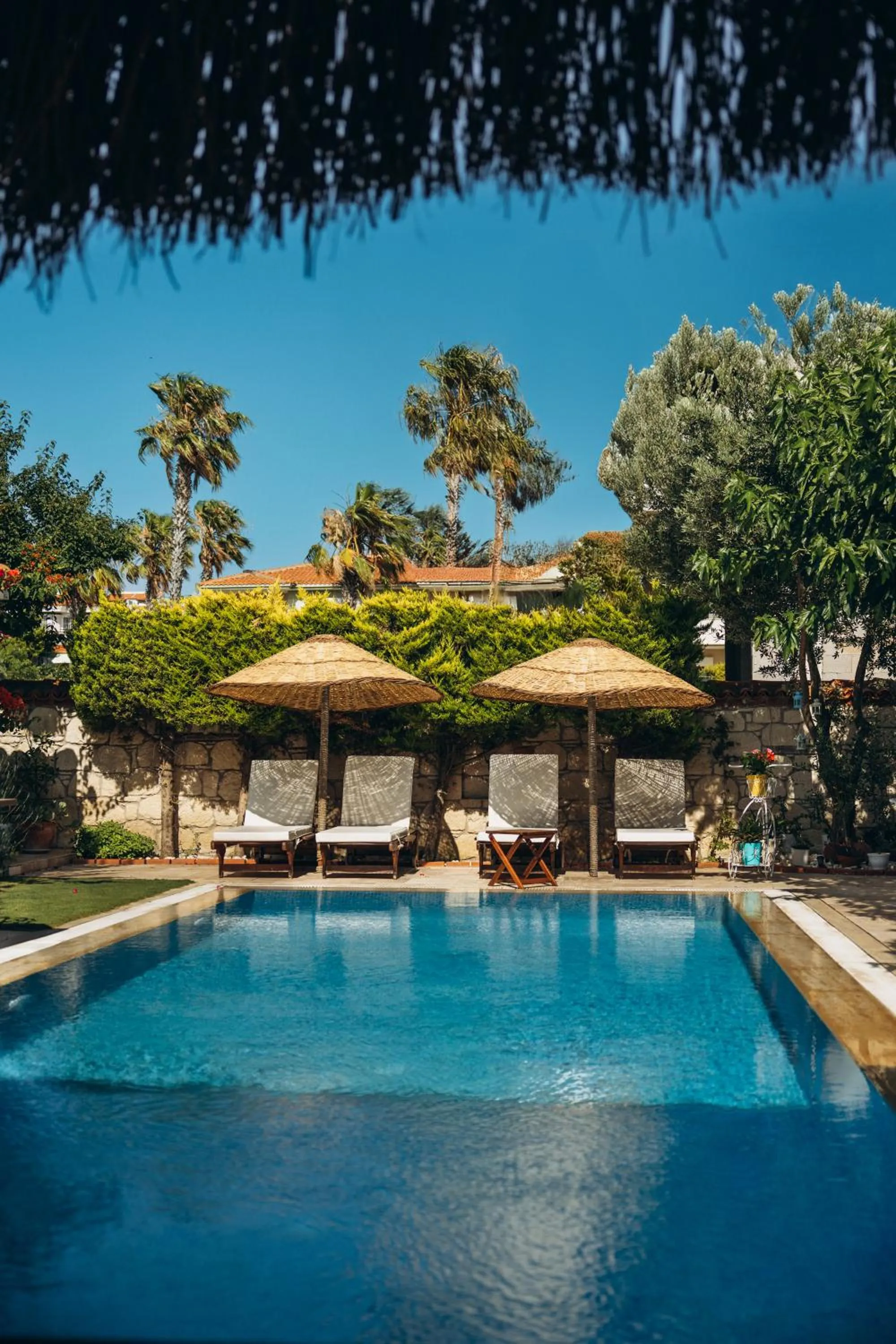 Swimming pool in Kupina Alaçatı