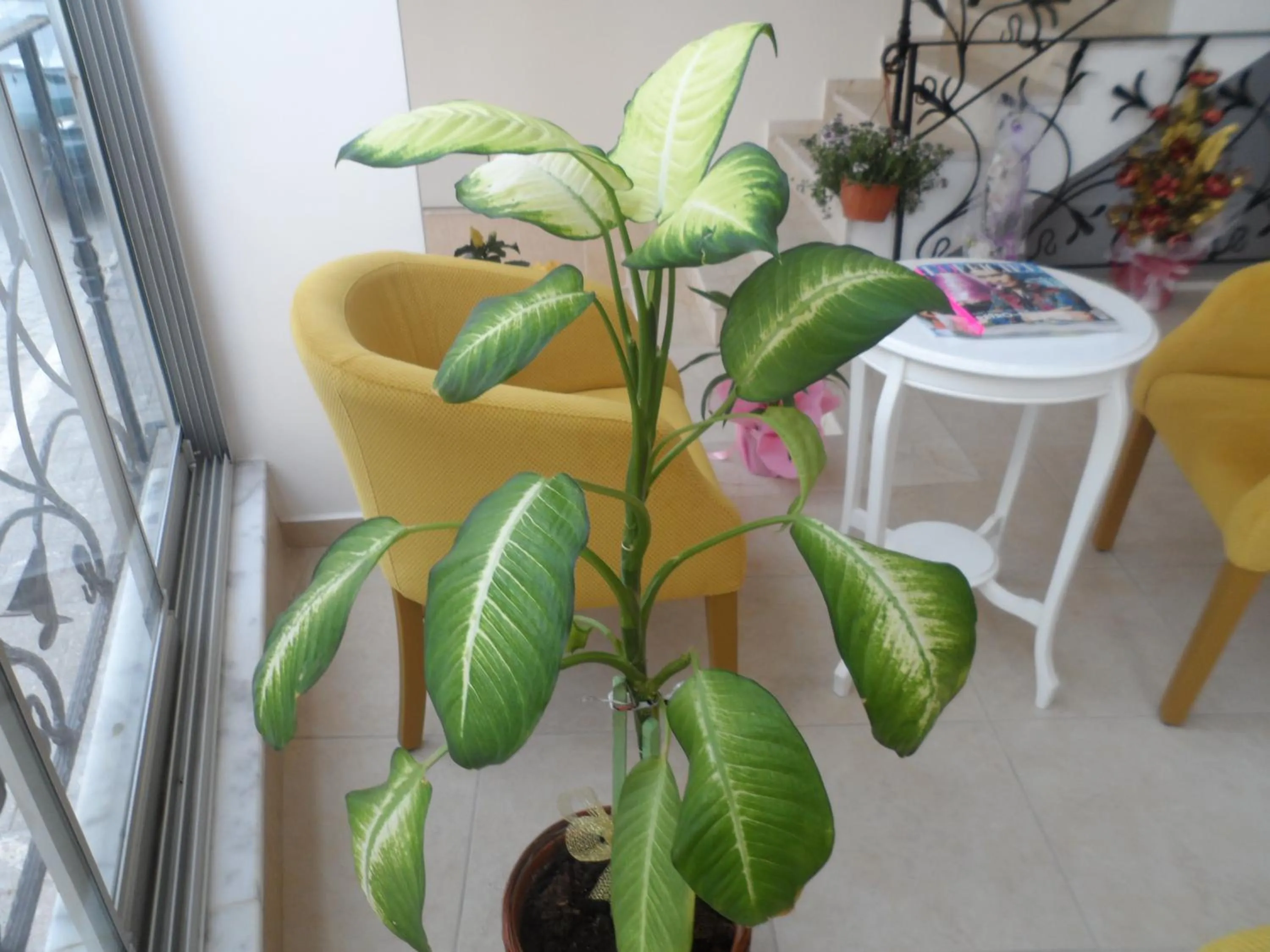 Lobby or reception in Zen Inn Boutique