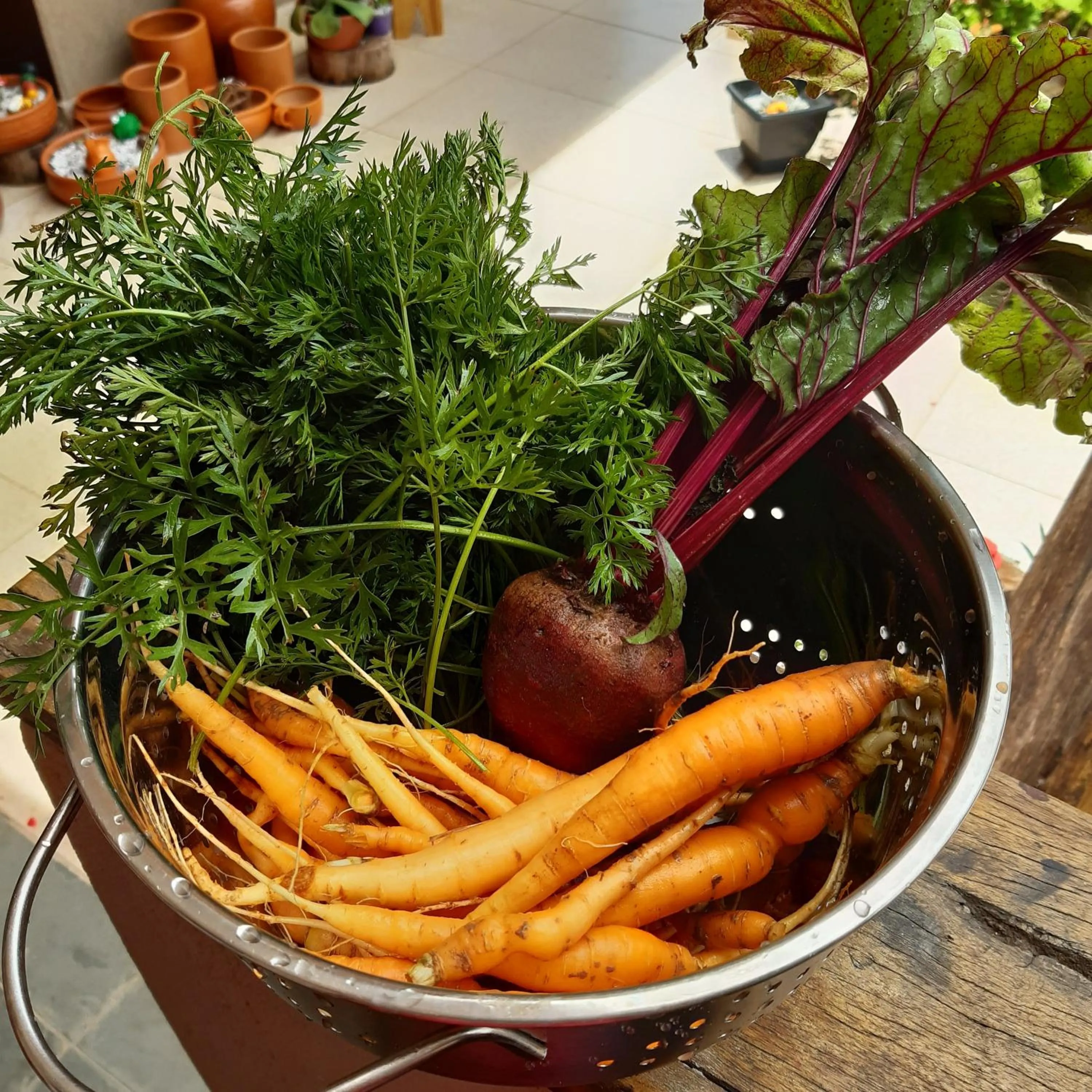 Activities in B&B Sol Poente