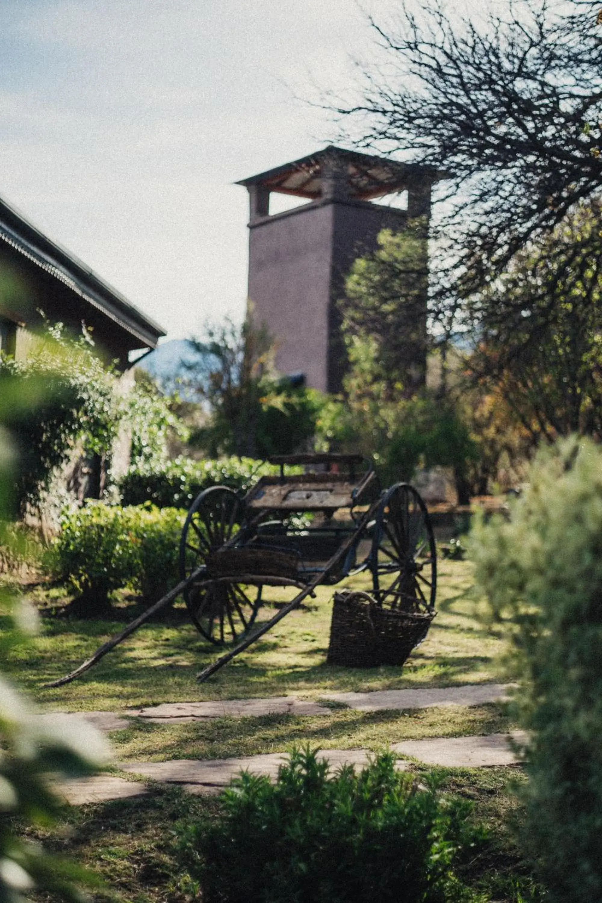 El Jarillal El Jarillal